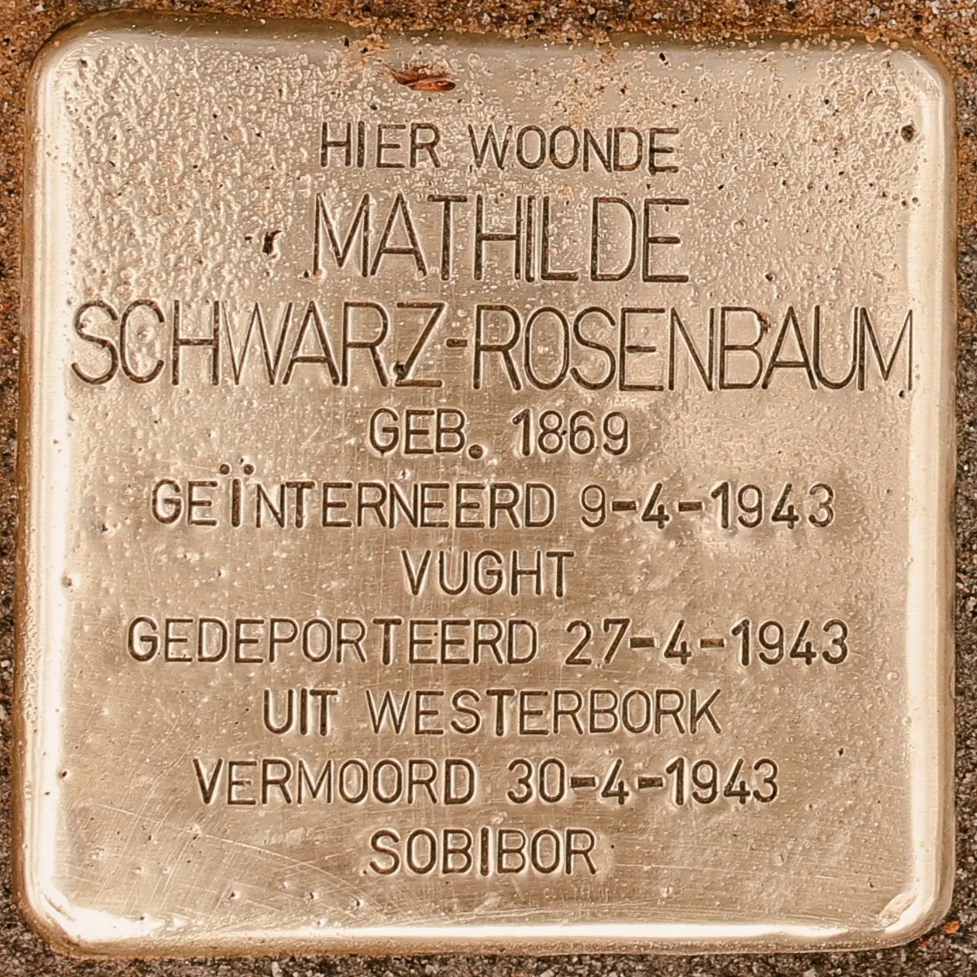 Struikelsteen voor Mathilde Schwarz-Rosenbaum