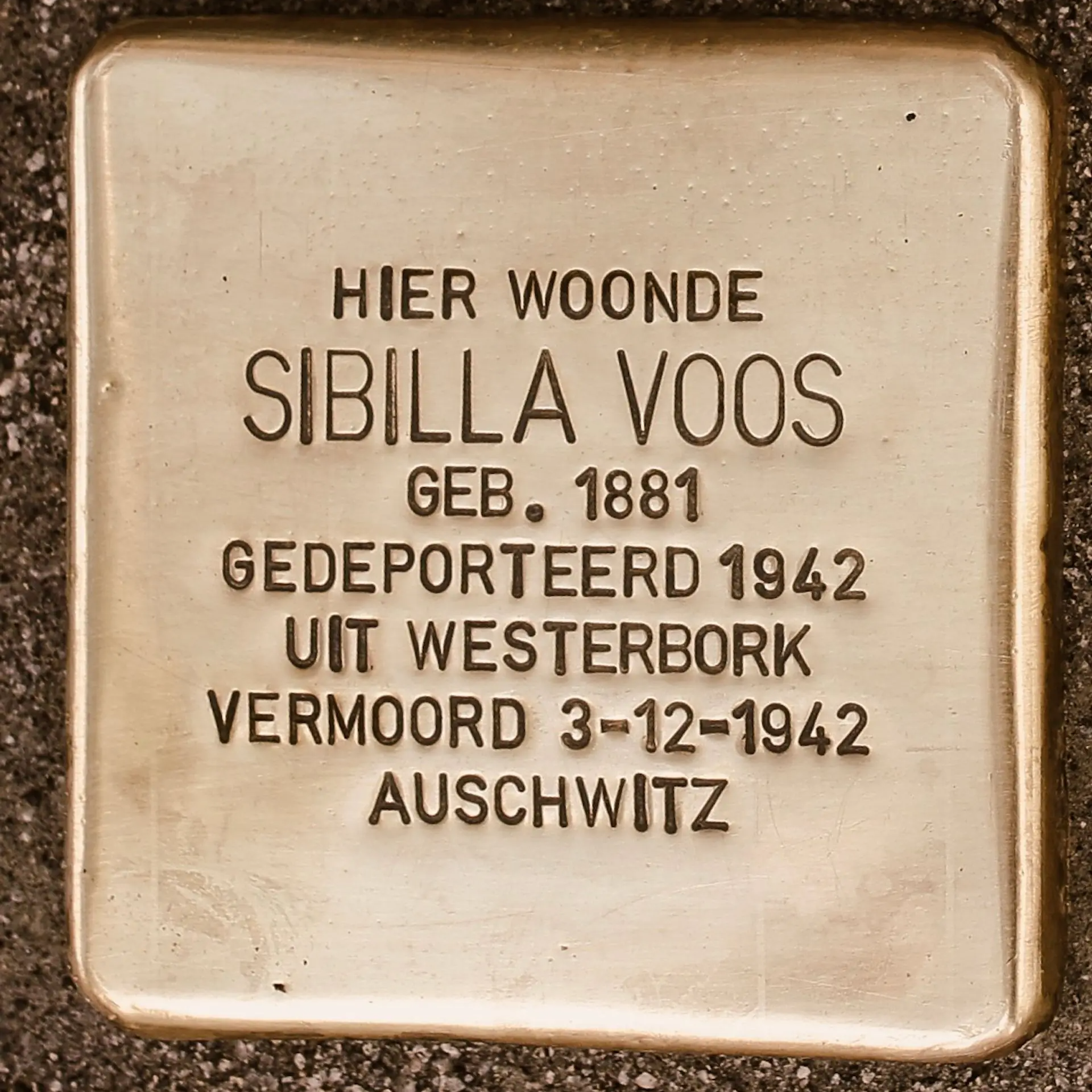 Struikelsteen voor Sibilla Voos