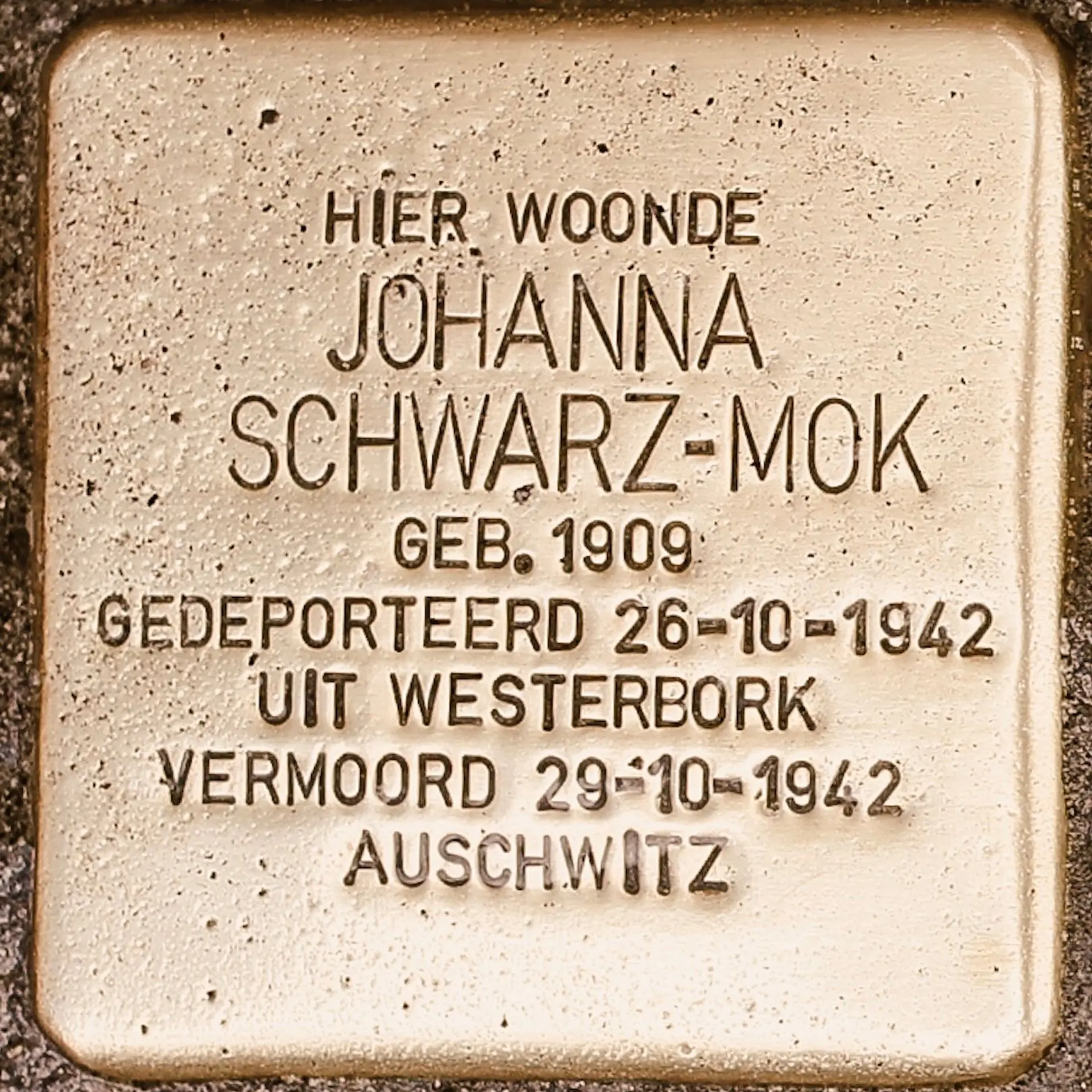Struikelsteen voor Johanna Schwarz-Mok