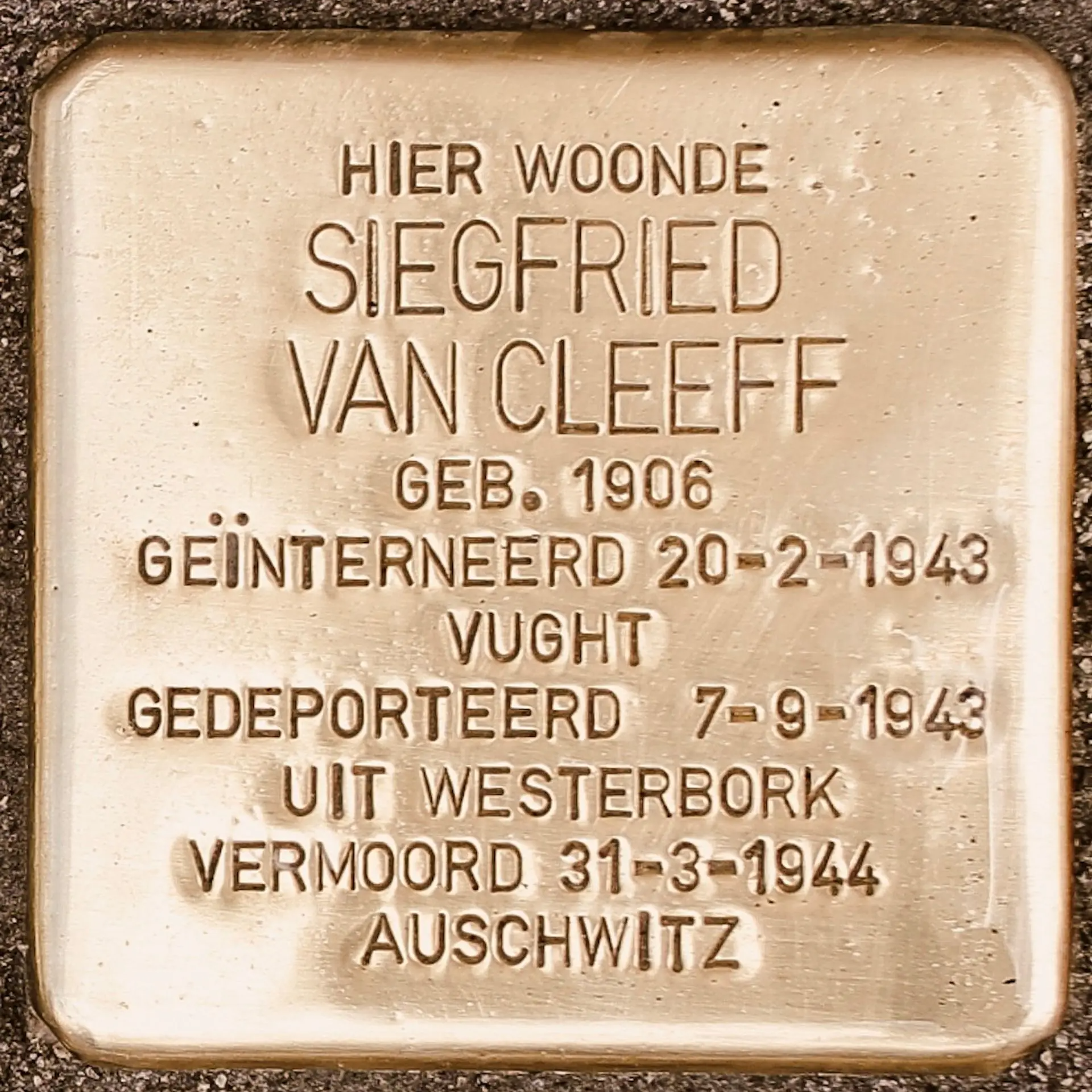Struikelsteen voor Siegfried van Cleeff