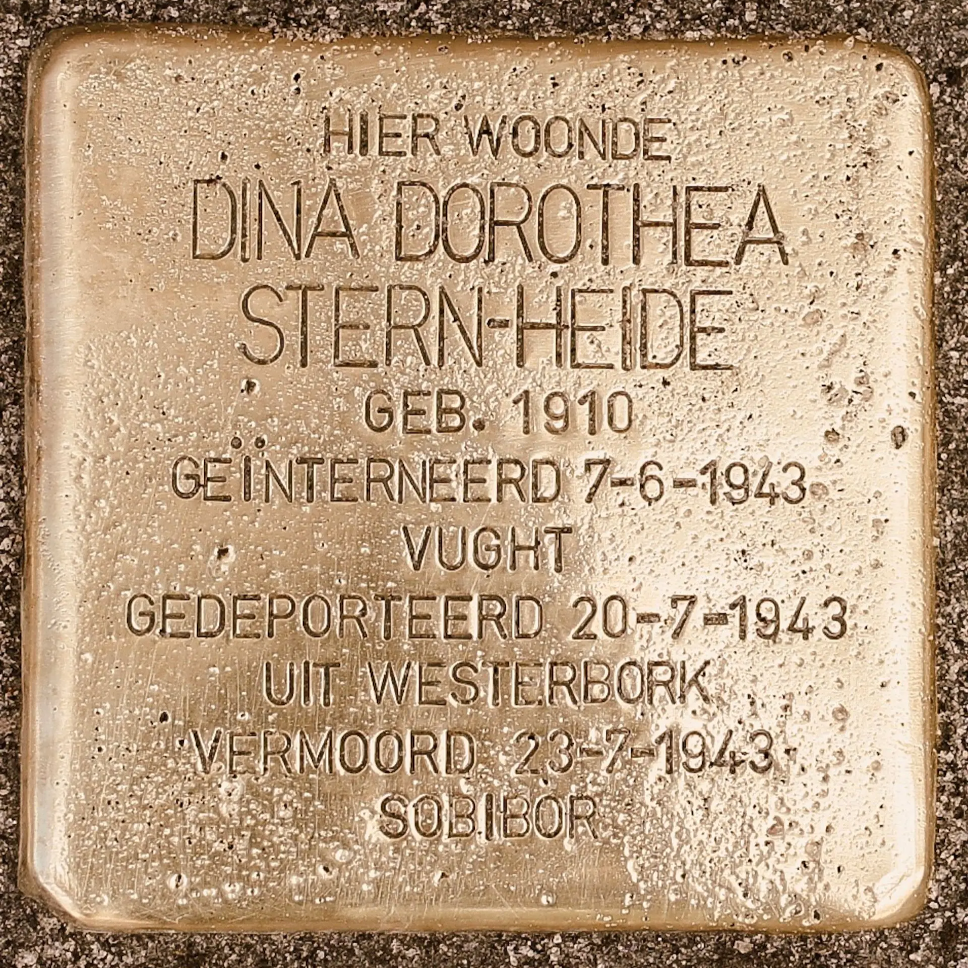Struikelsteen voor Dina Dorothea Stern-Heide