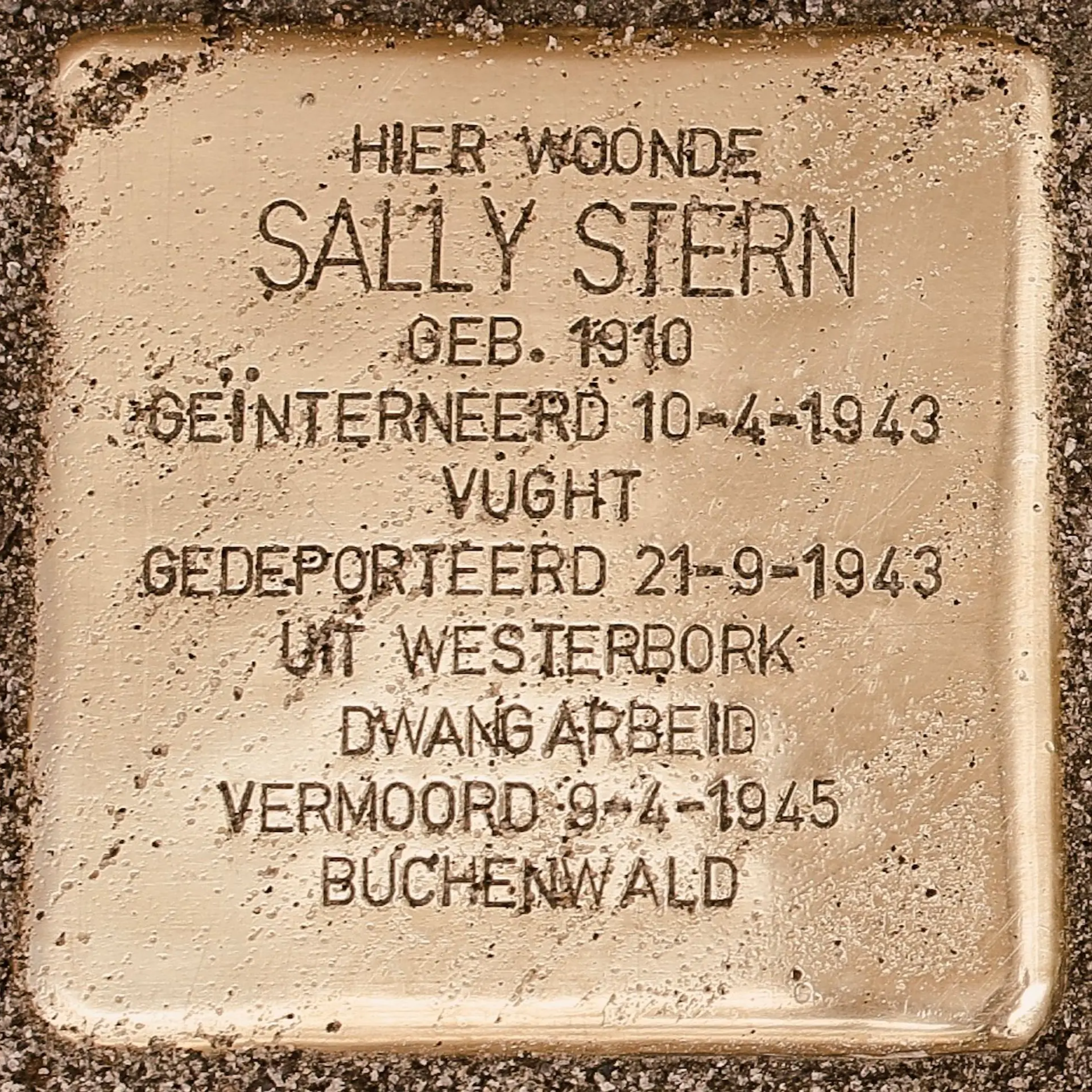 Struikelsteen voor Sally Stern