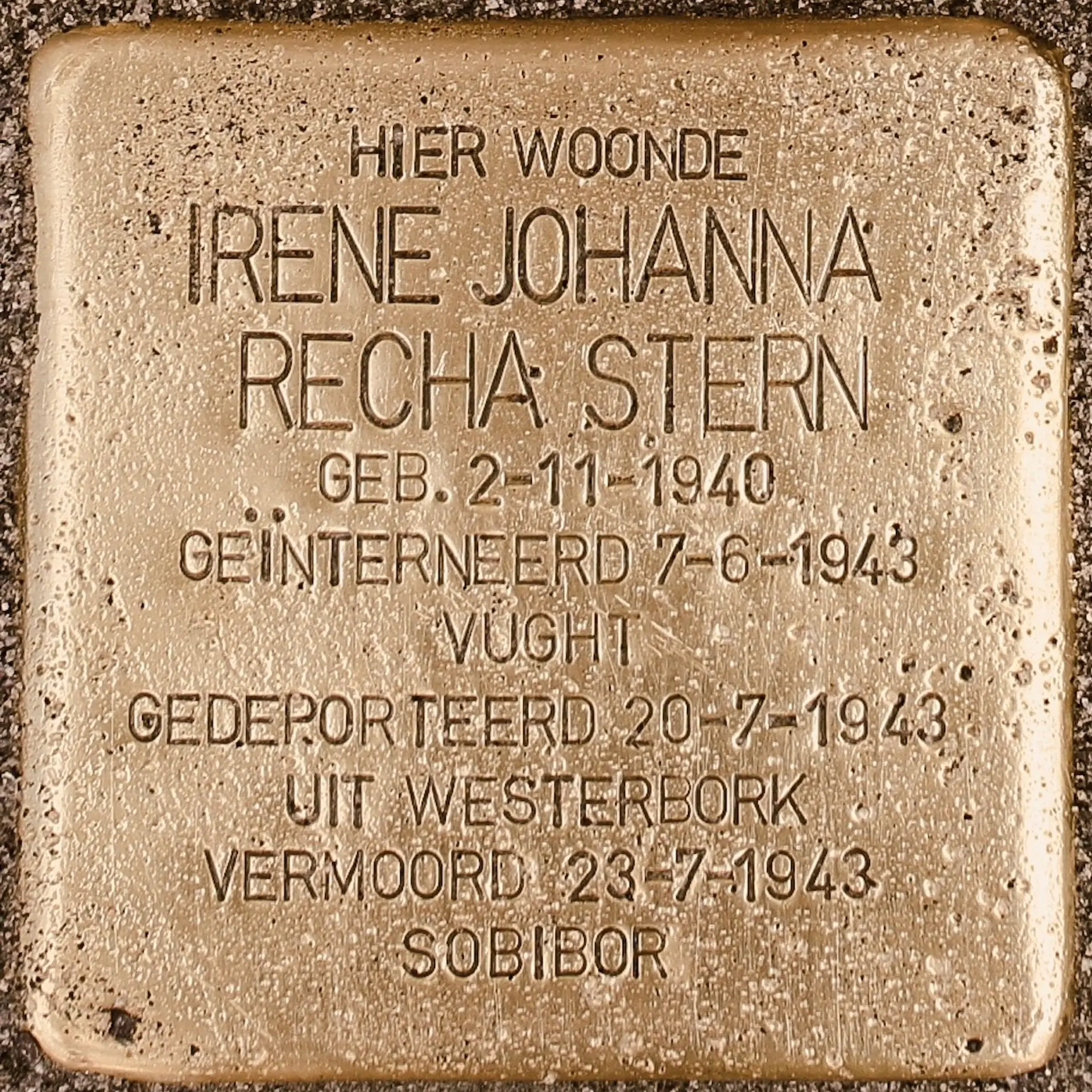 Struikelsteen voor Irene Johanna Recha Stern
