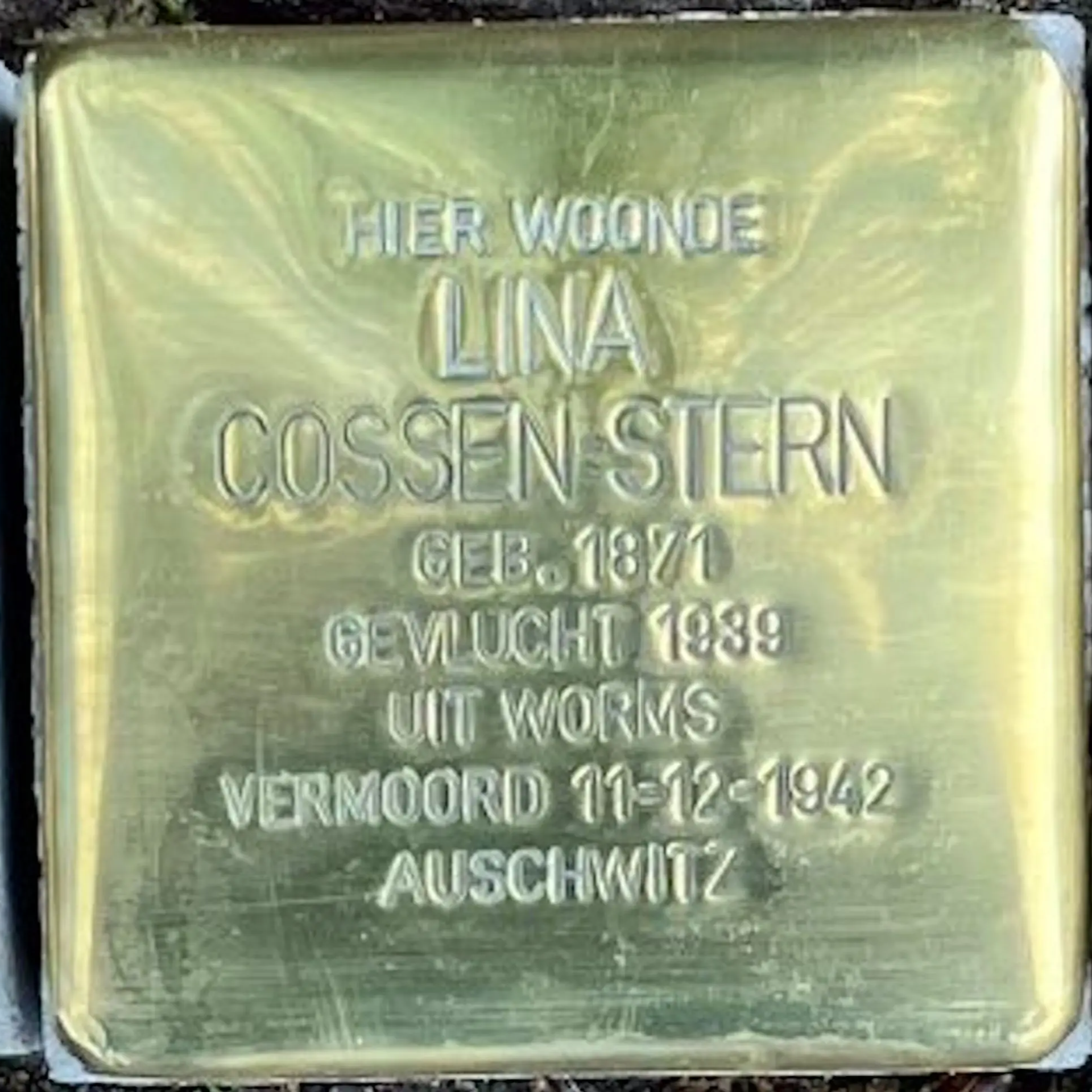 Struikelsteen voor Lina Cossen-Stern