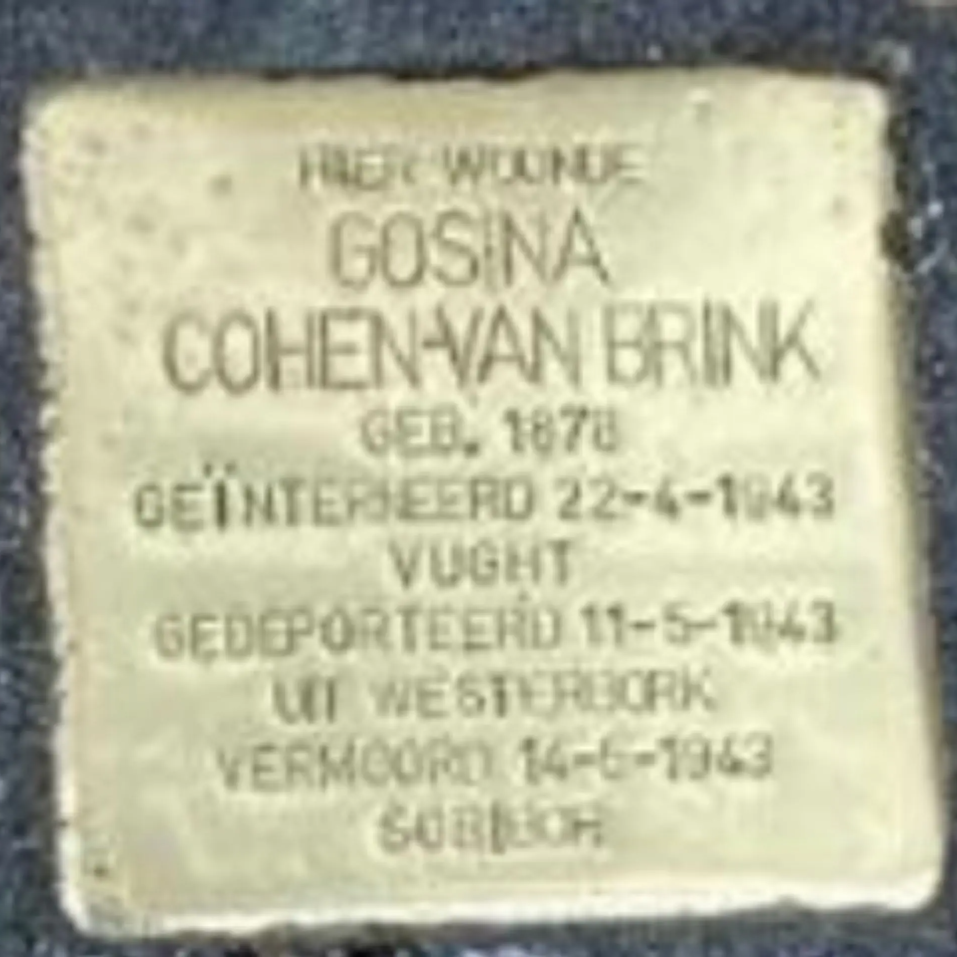 Struikelsteen voor Gosina Cohen-van Brink