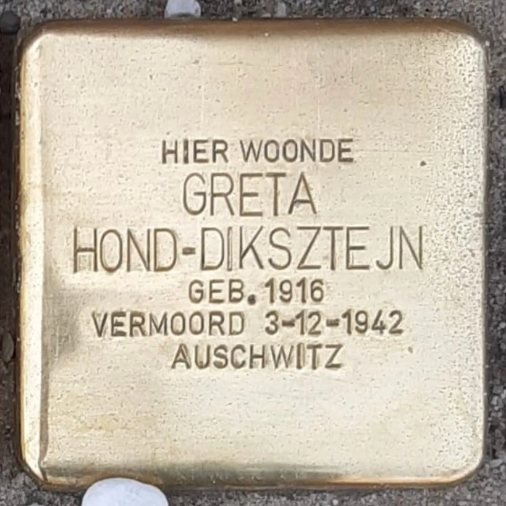 Struikelsteen voor Greta Hond-Diksztejn