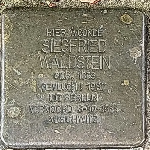 Struikelsteen voor Siegfried Waldstein