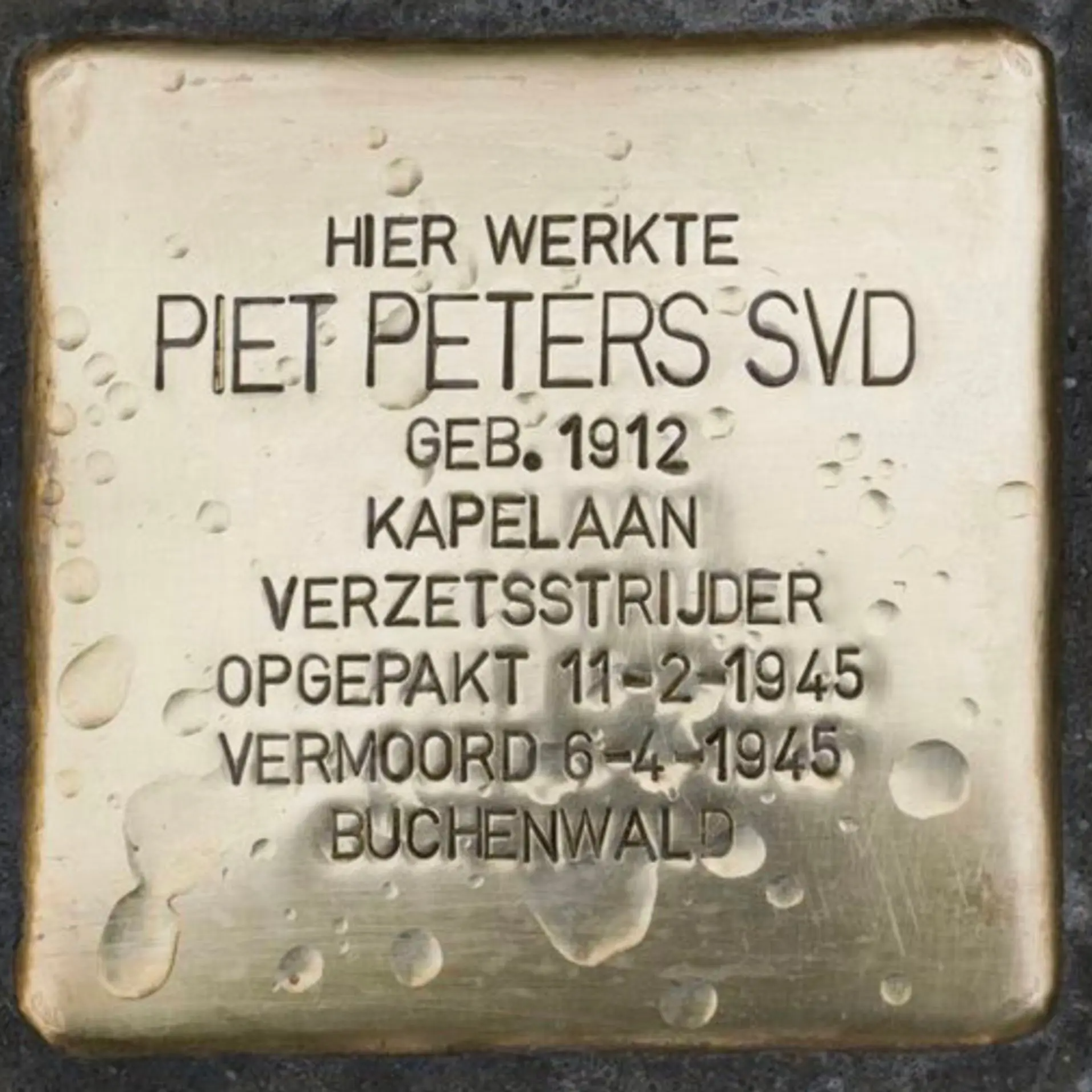 Struikelsteen voor Petrus Nicolaas Andreas Peters
