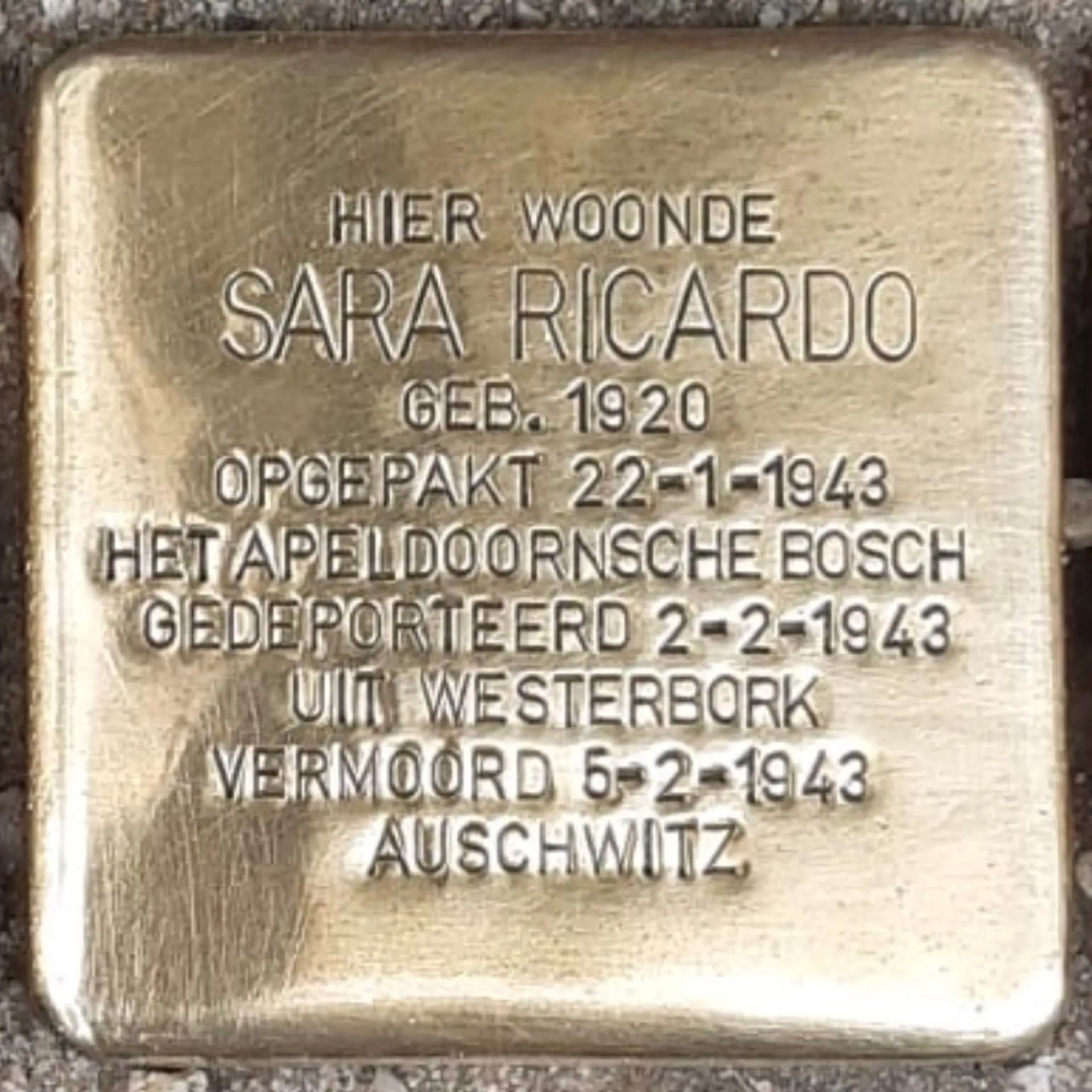 Struikelsteen voor Sara Ricardo