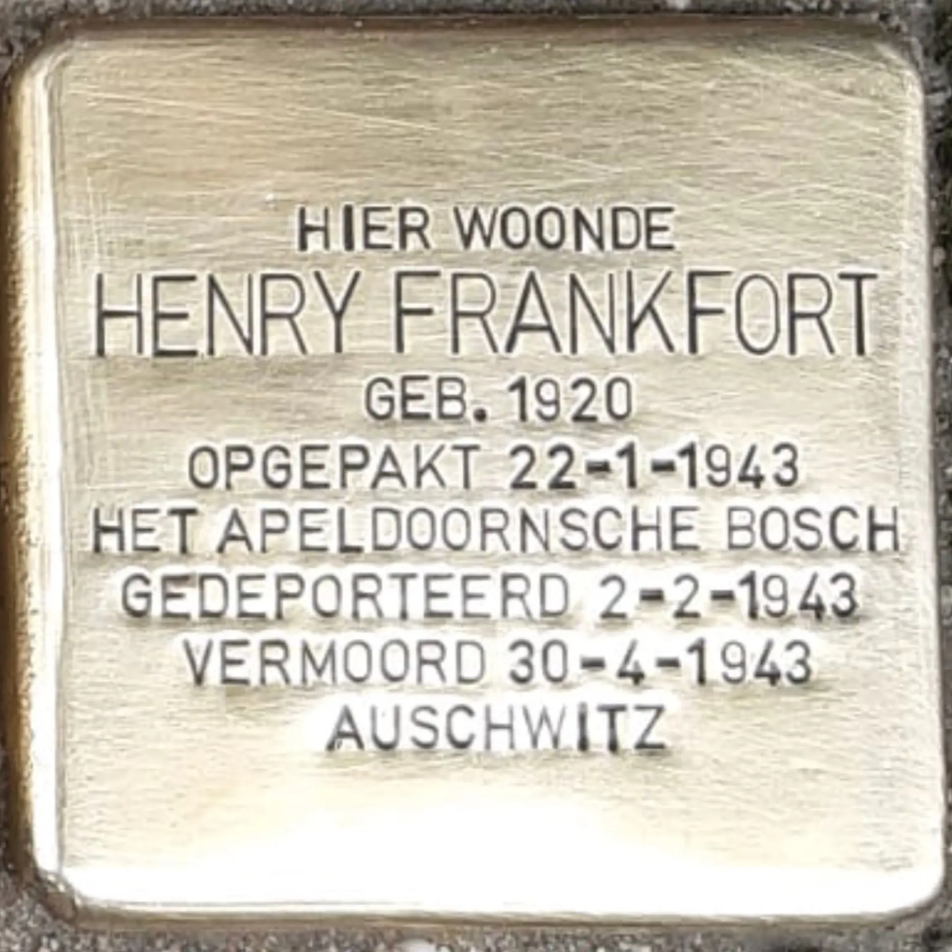 Struikelsteen voor Henry Frankfort