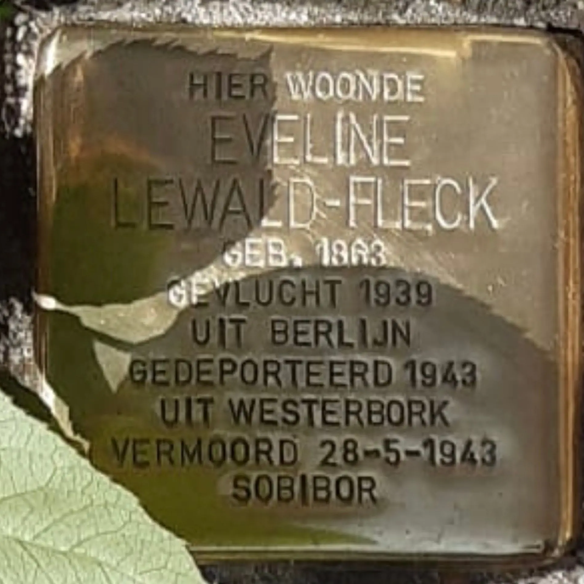 Struikelsteen voor Eveline Lewald-Fleck