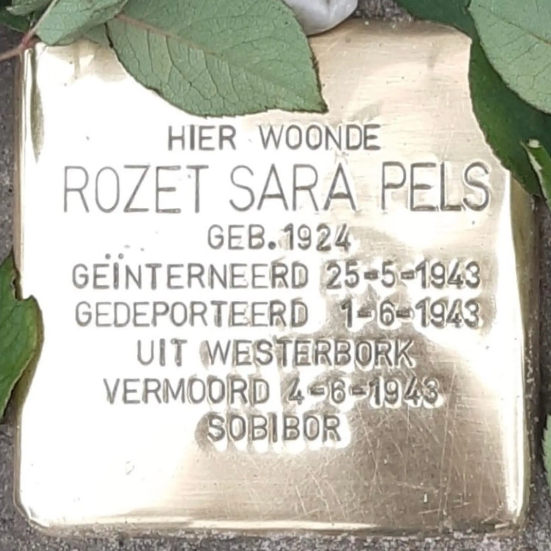 Struikelsteen voor Rozet Sara Pels