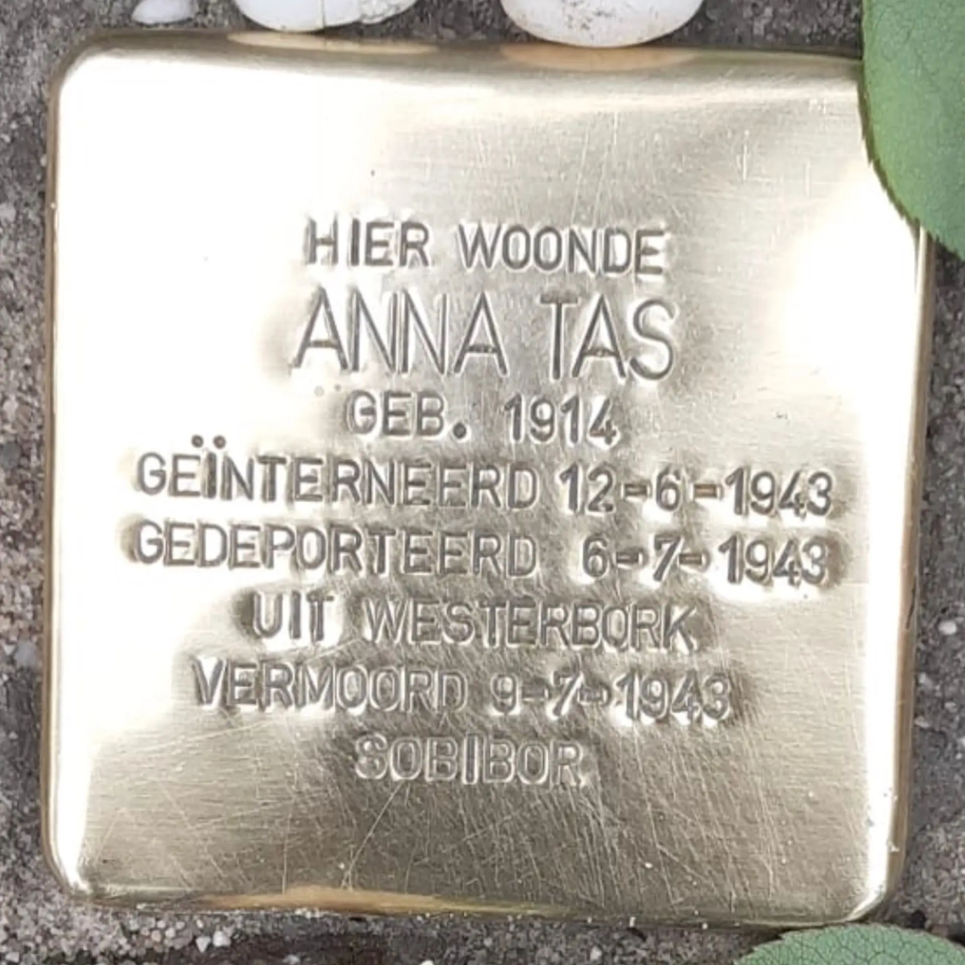 Struikelsteen voor Anna Tas