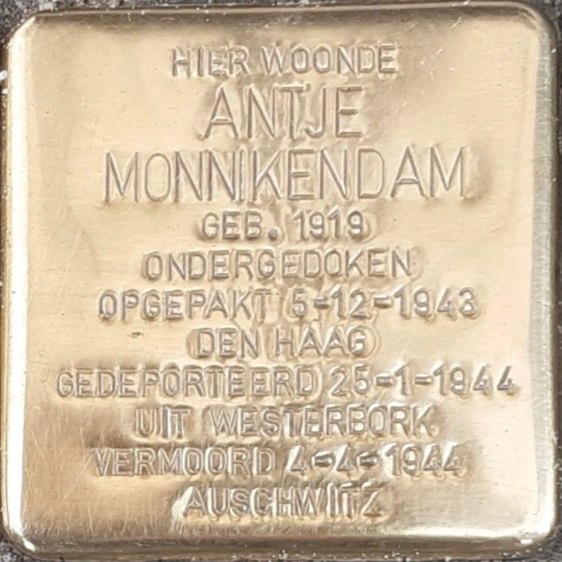 Struikelsteen voor Antje Monnikendam