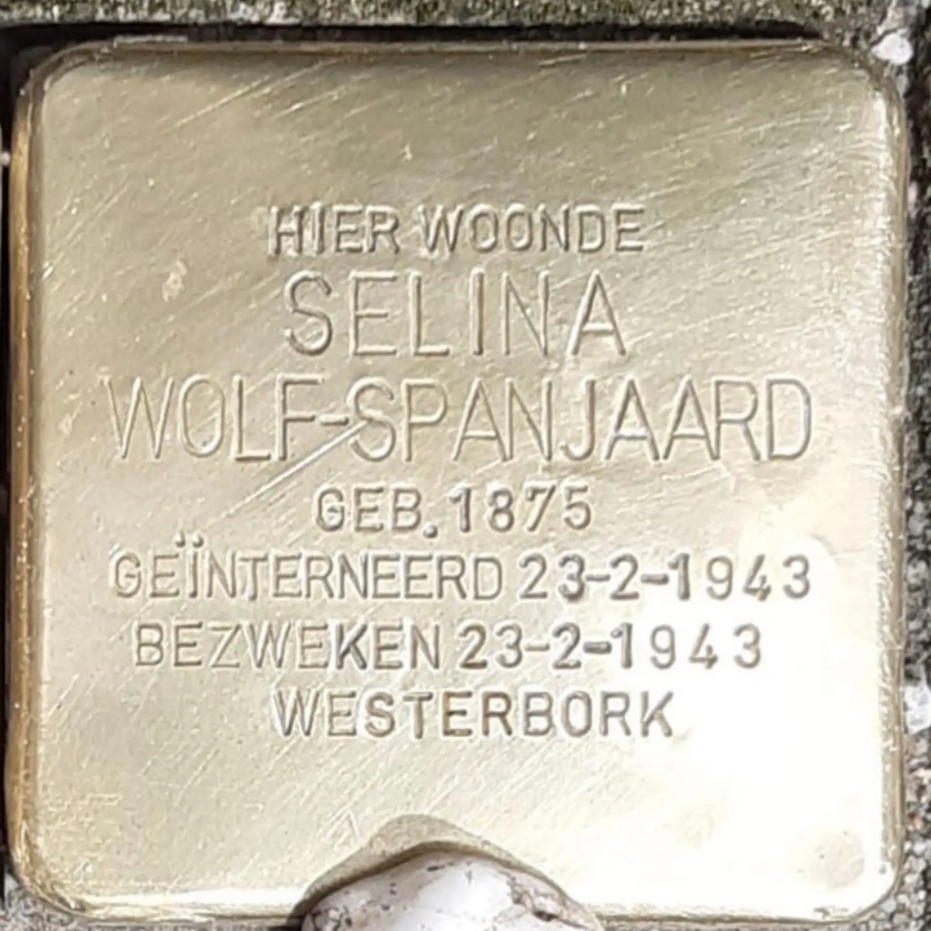 Struikelsteen voor Selina Wolf-Spanjaard