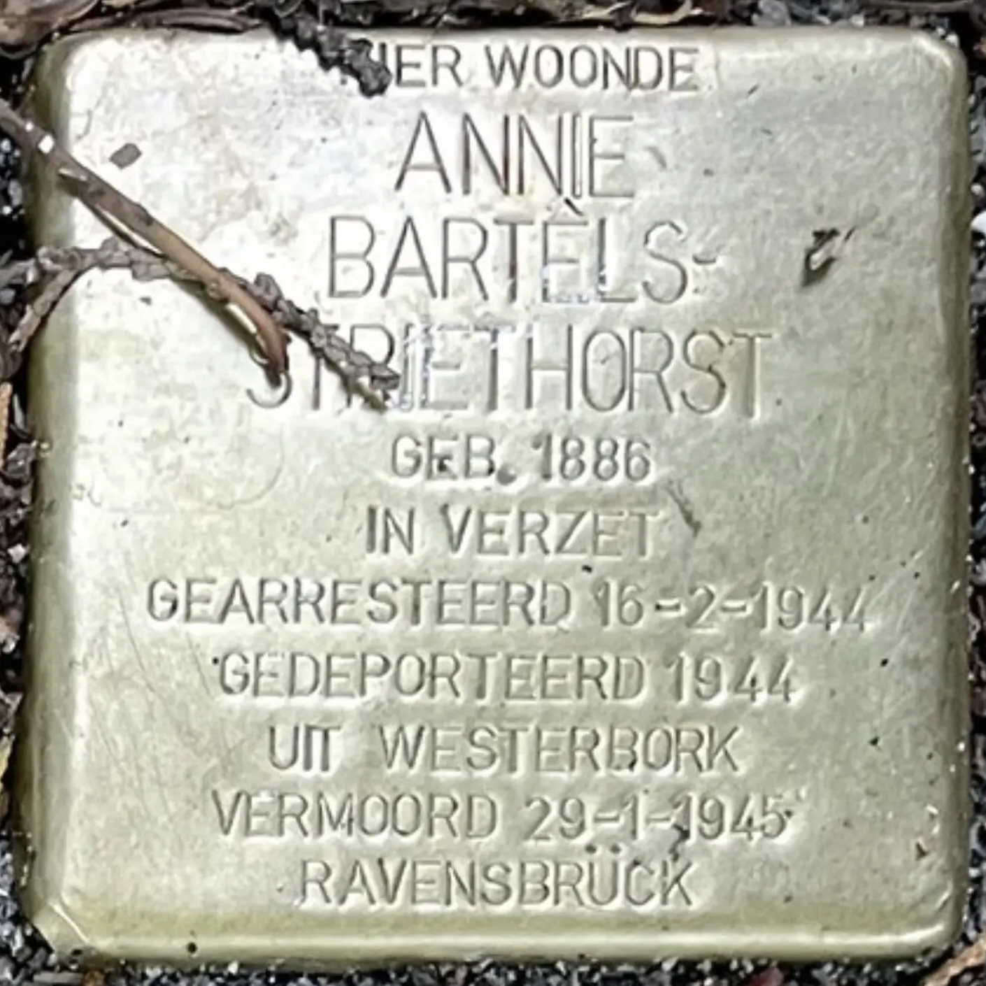 Struikelsteen voor Johanna Antonia Maria Bartels-Striethorst