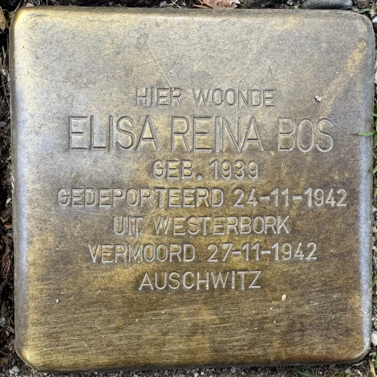 Struikelsteen voor Elisa Reina Bos