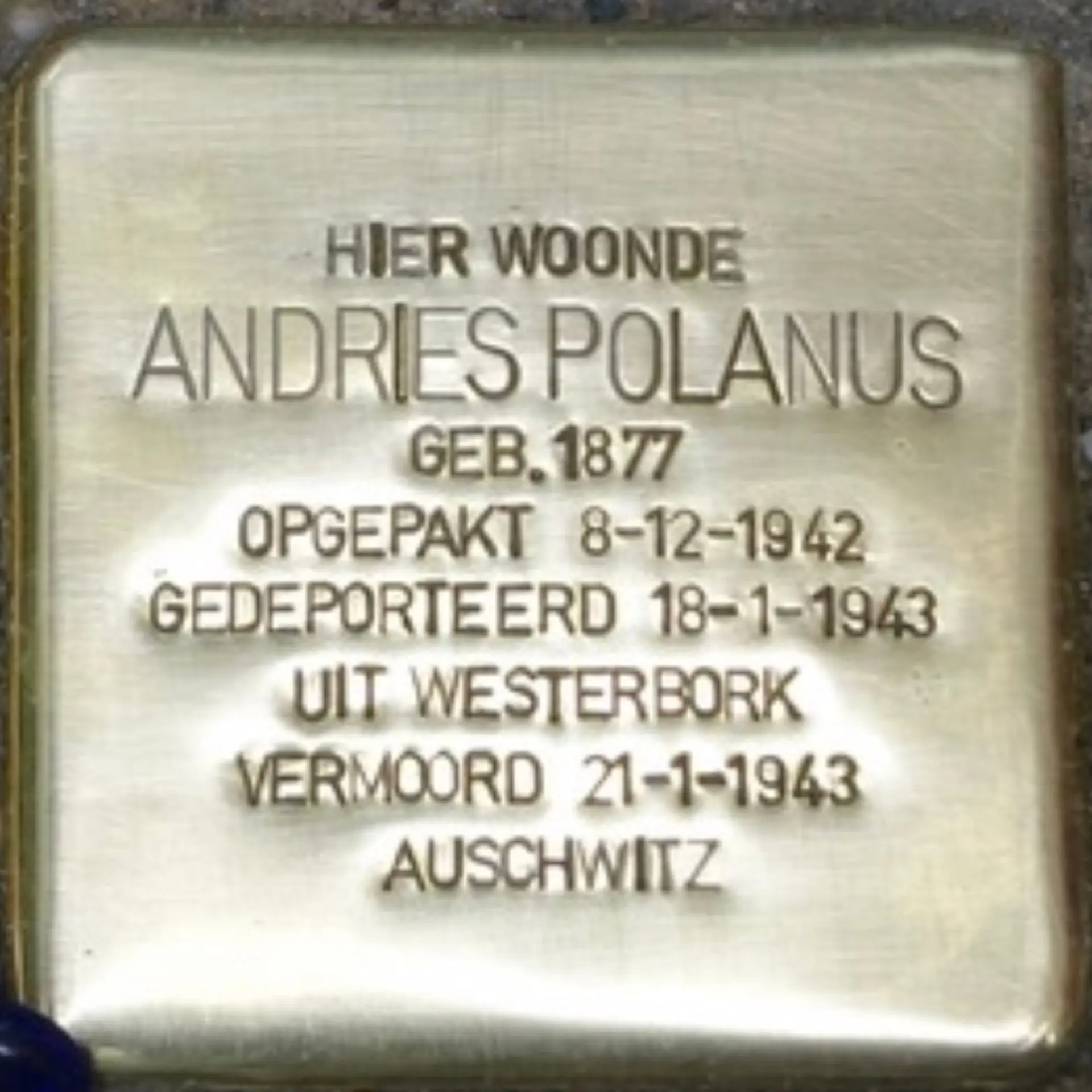 Struikelsteen voor Andries Polanus