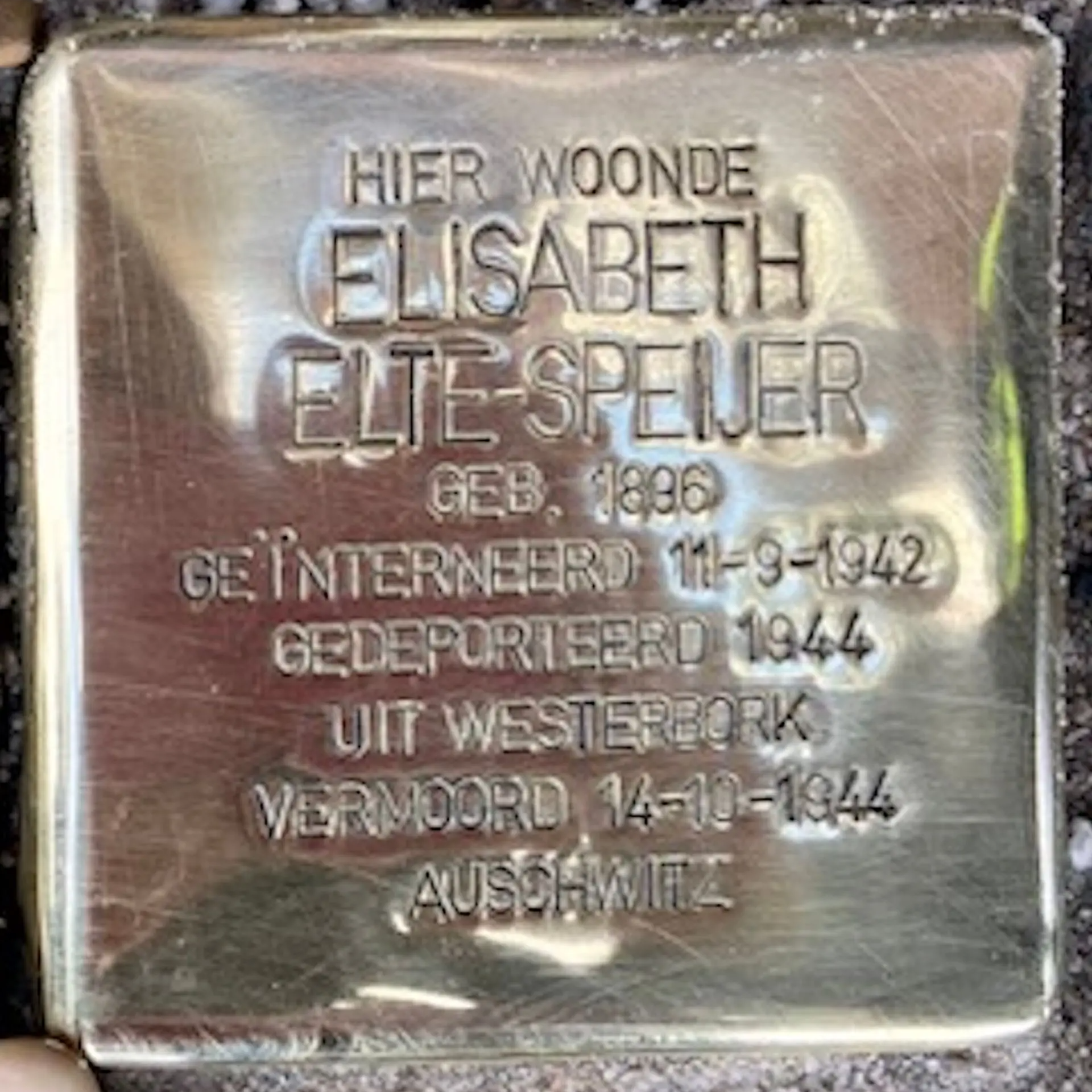 Struikelsteen voor Elisabeth Elte-Speijer