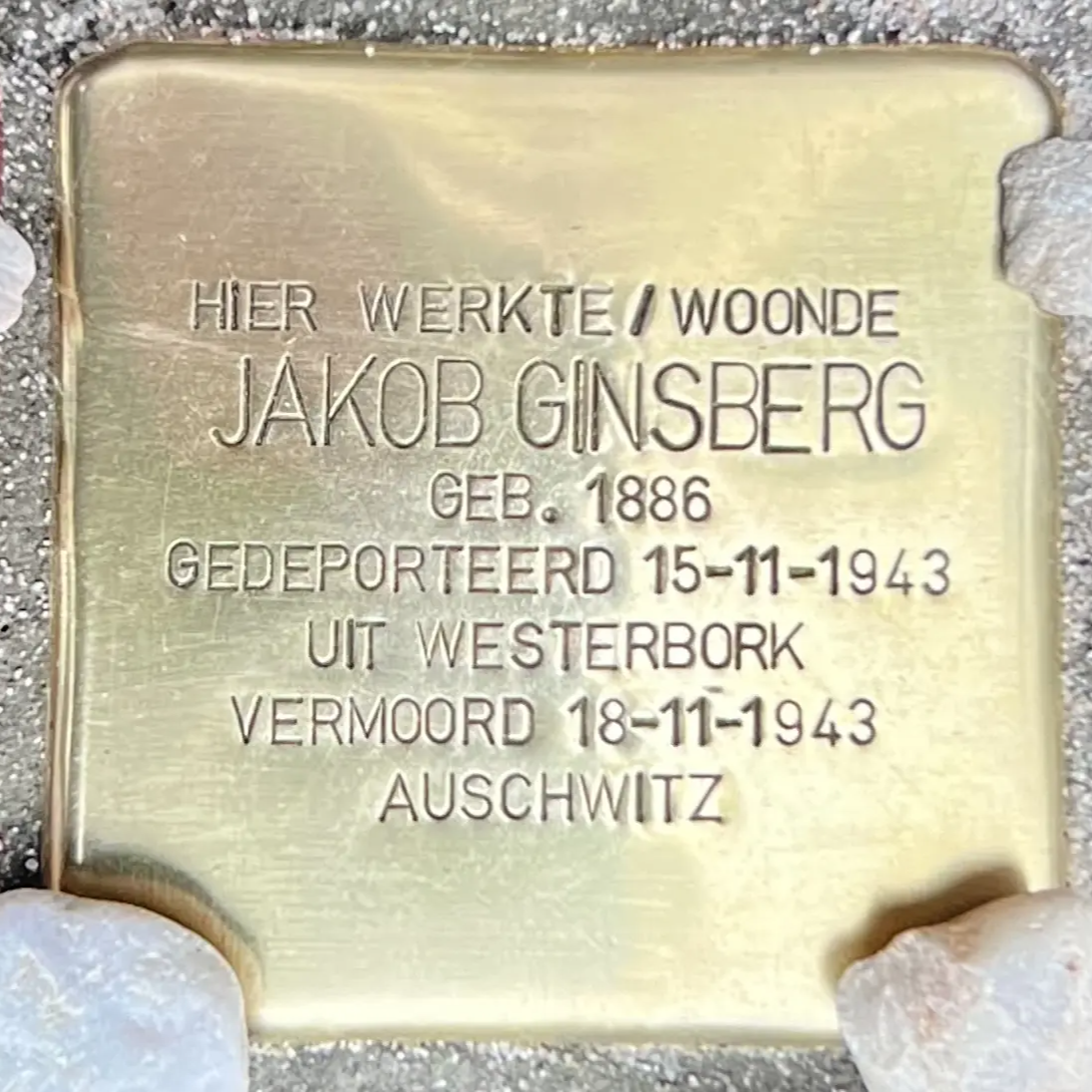 Struikelsteen voor Jakob Ginsberg