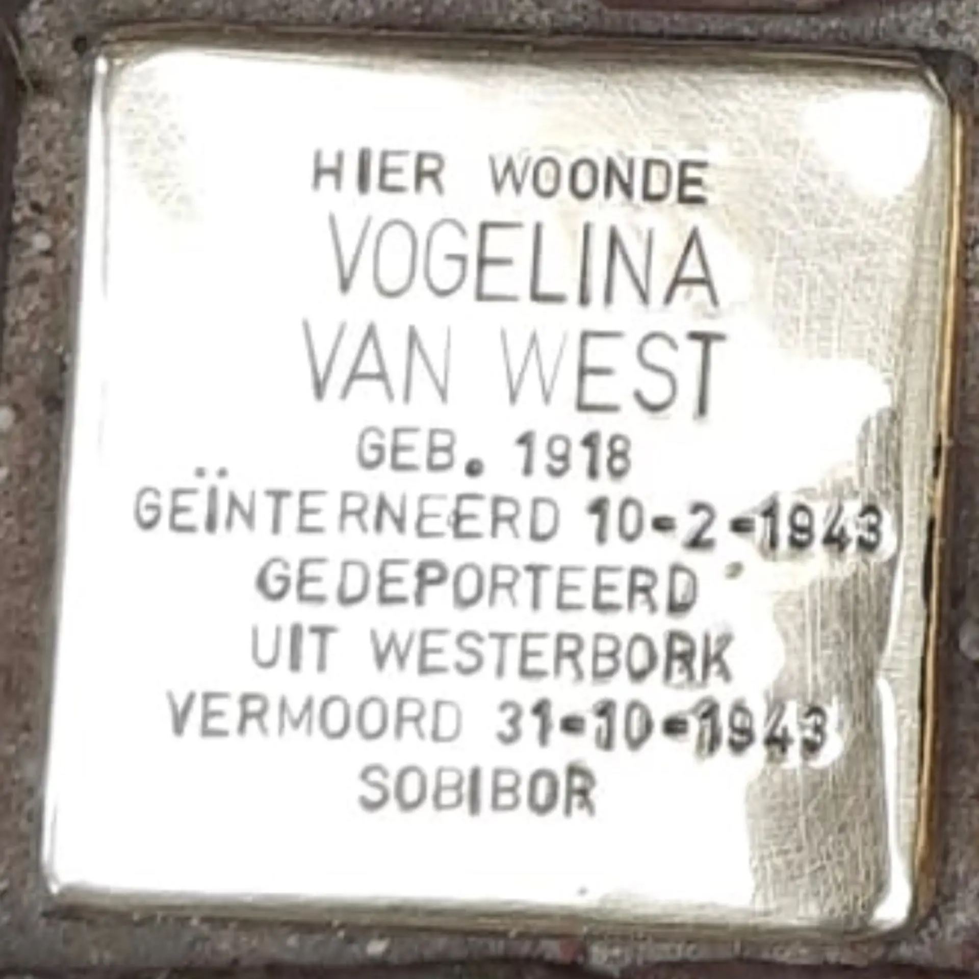 Struikelsteen voor Vogelina van West