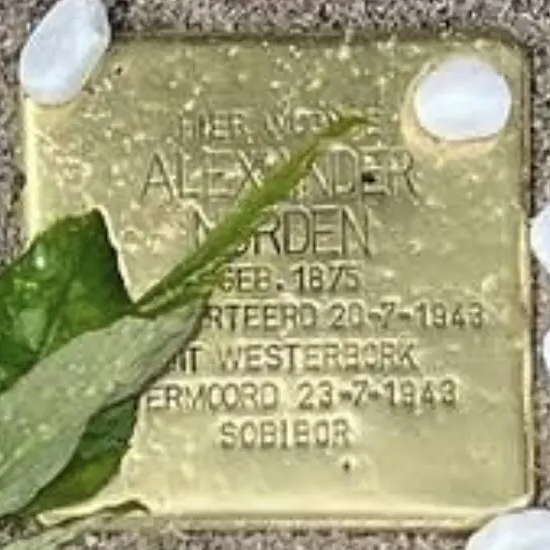 Struikelsteen voor Alexander Norden