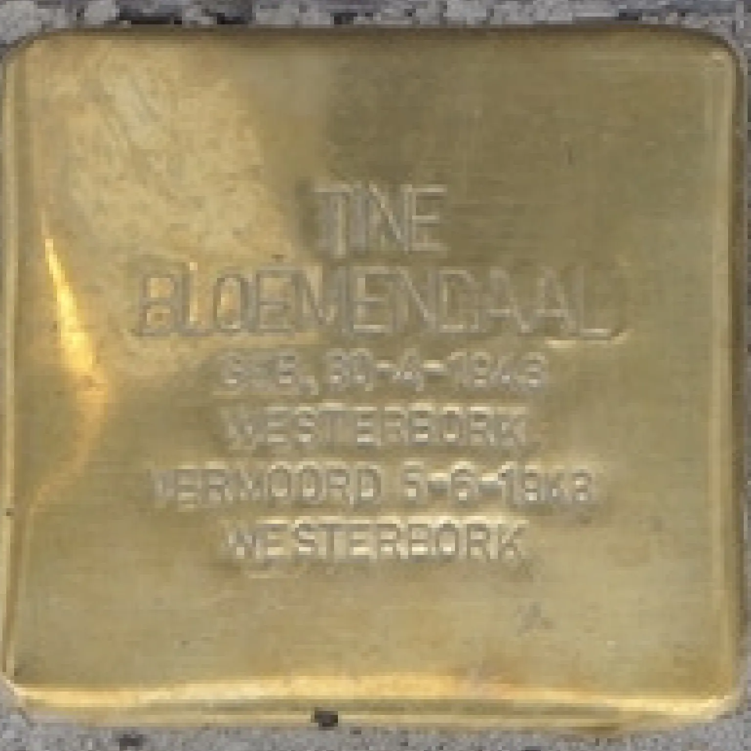 Struikelsteen voor Tine Bloemendaal