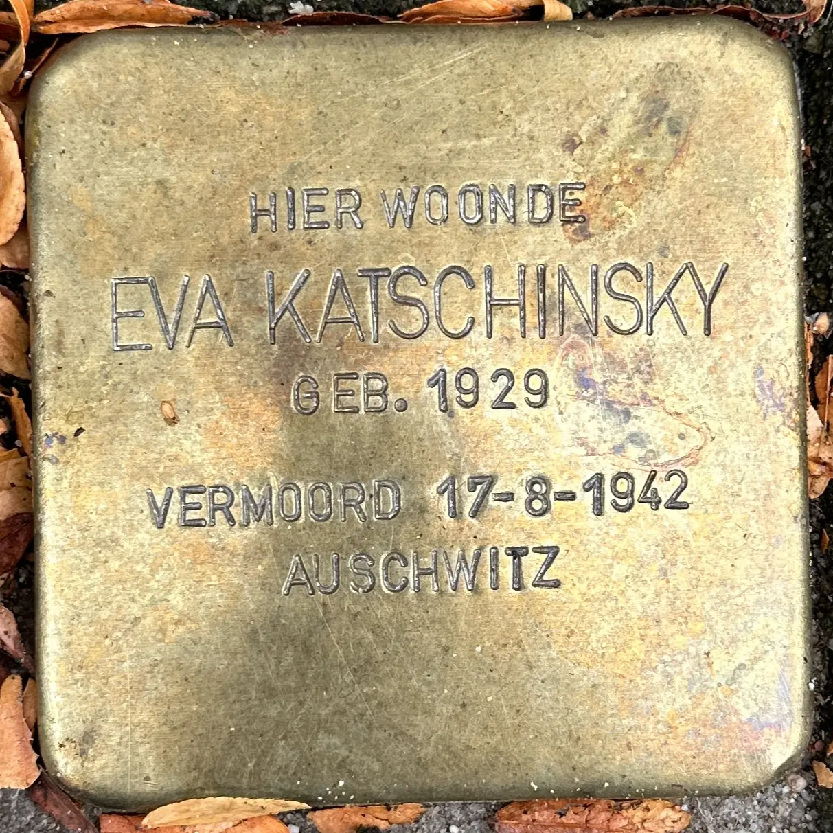 Struikelsteen voor Eva Katschinsky