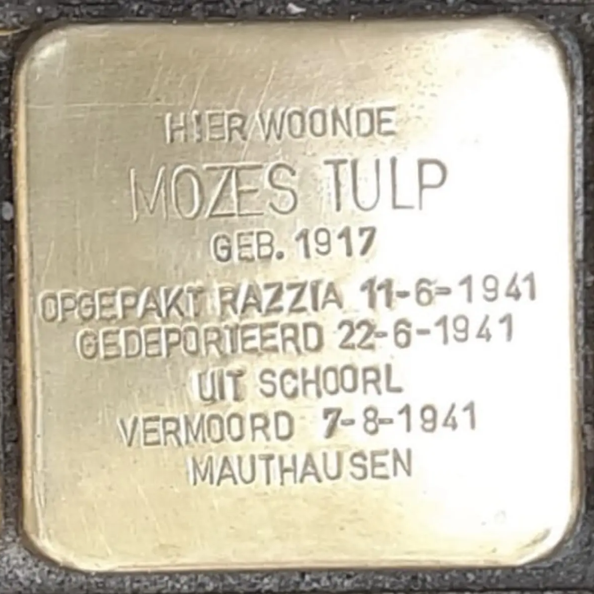 Struikelsteen voor Mozes Tulp