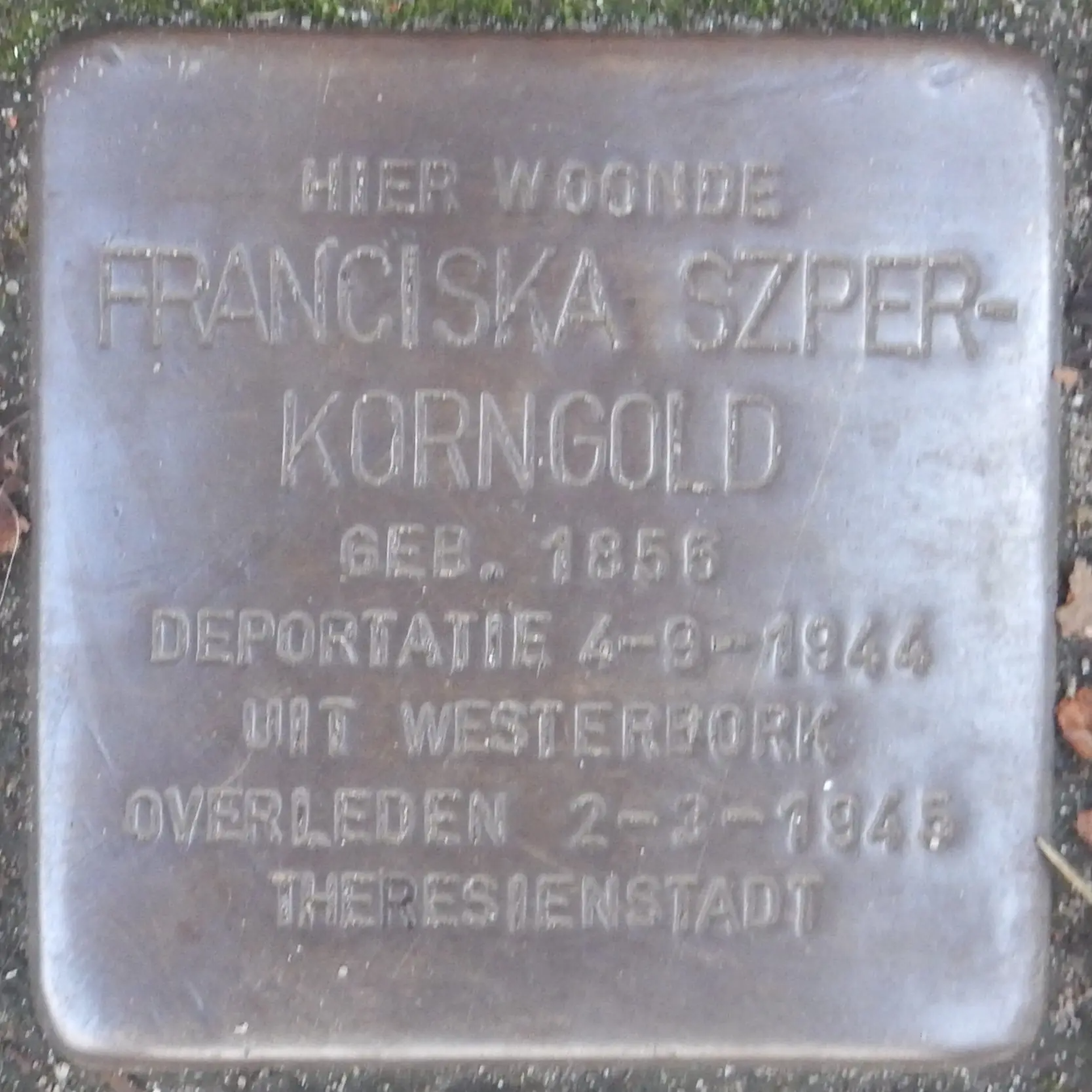 Struikelsteen voor Franciska Szper-Korngold