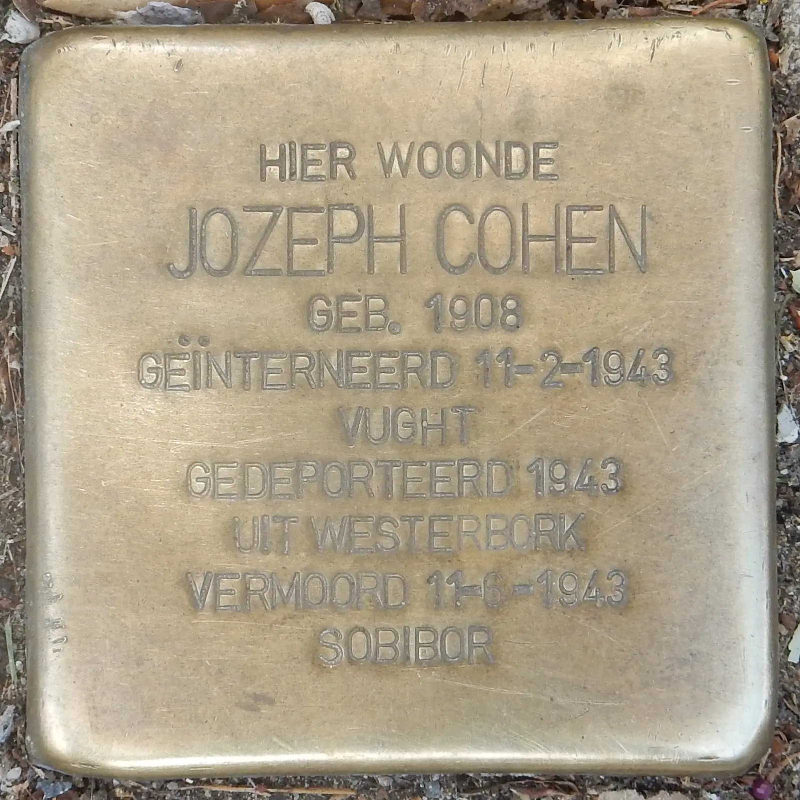 Struikelsteen voor Jozeph Cohen