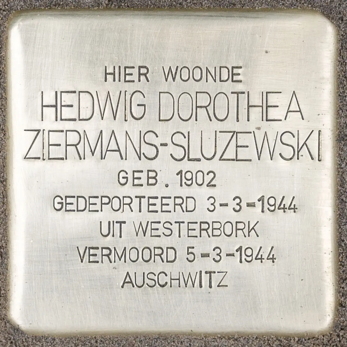 Struikelsteen voor Hedwig Dorothea Ziermans-Sluzewski