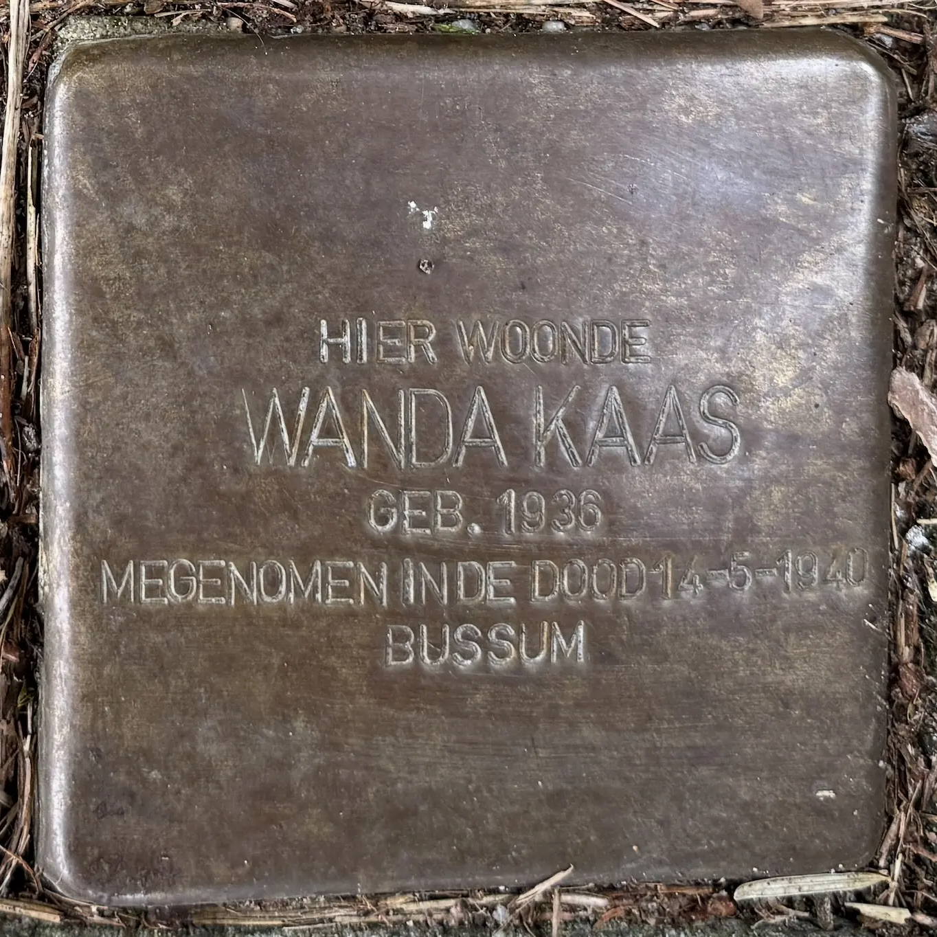 Struikelsteen voor Wanda Kaas