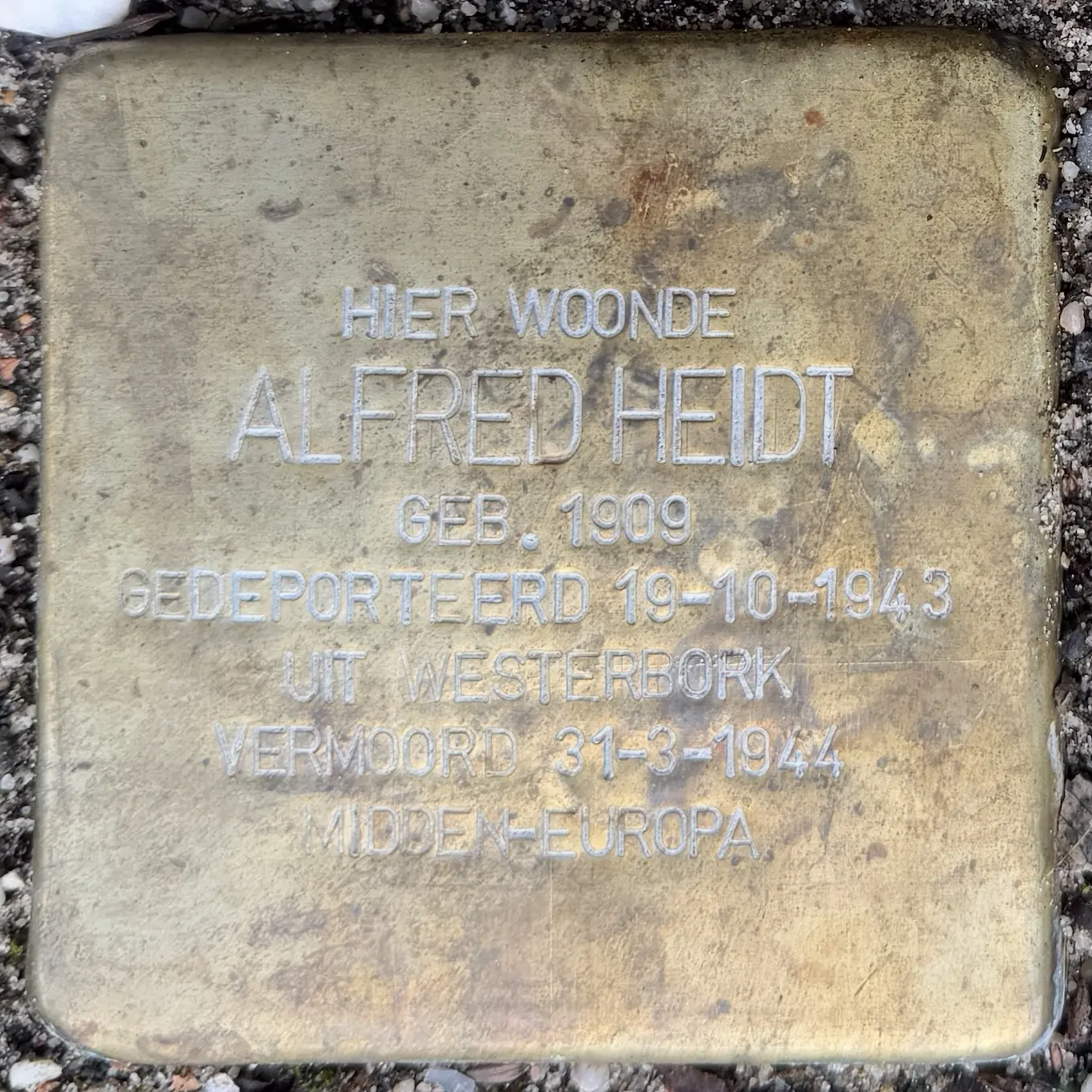 Struikelsteen voor Alfred Heidt