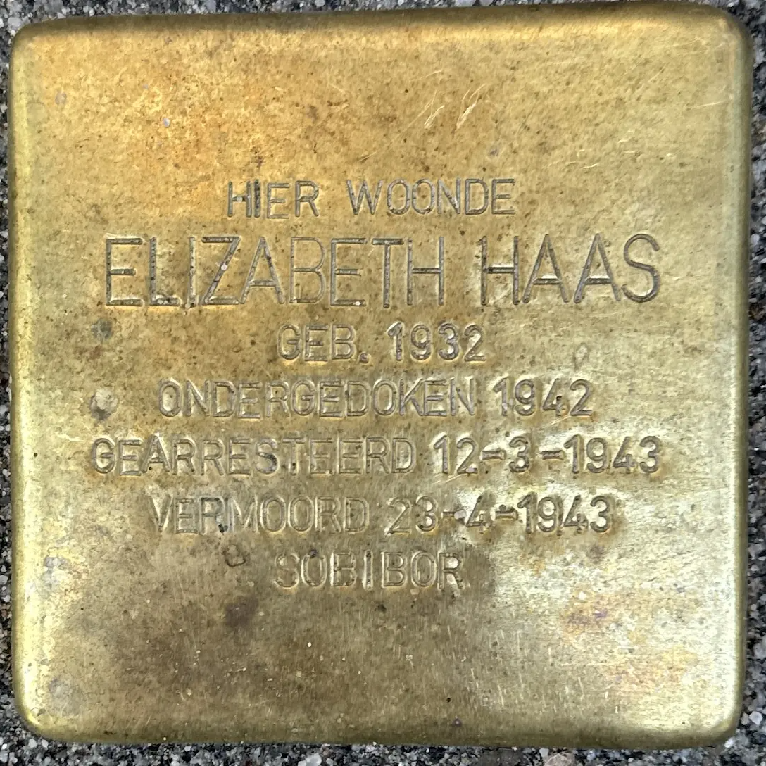 Struikelsteen voor Elizabeth Haas