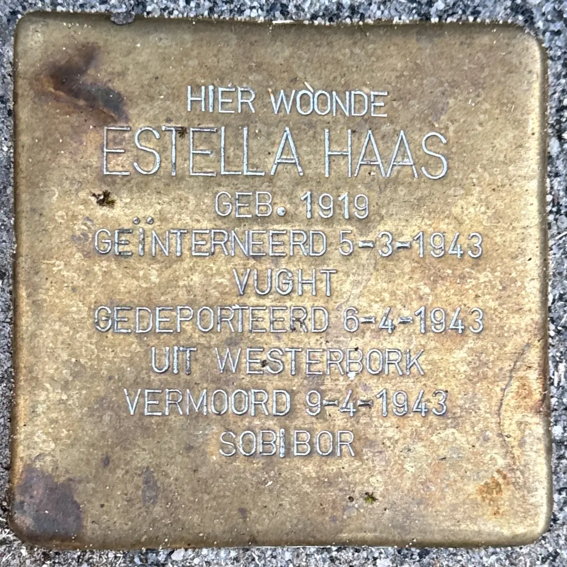 Struikelsteen voor Estella Haas