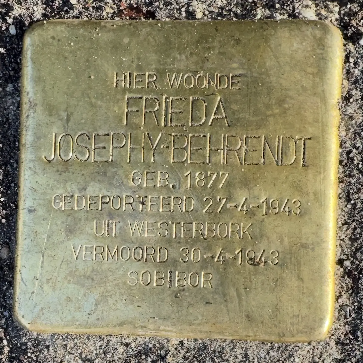 Struikelsteen voor Frieda Josephy-Behrendt