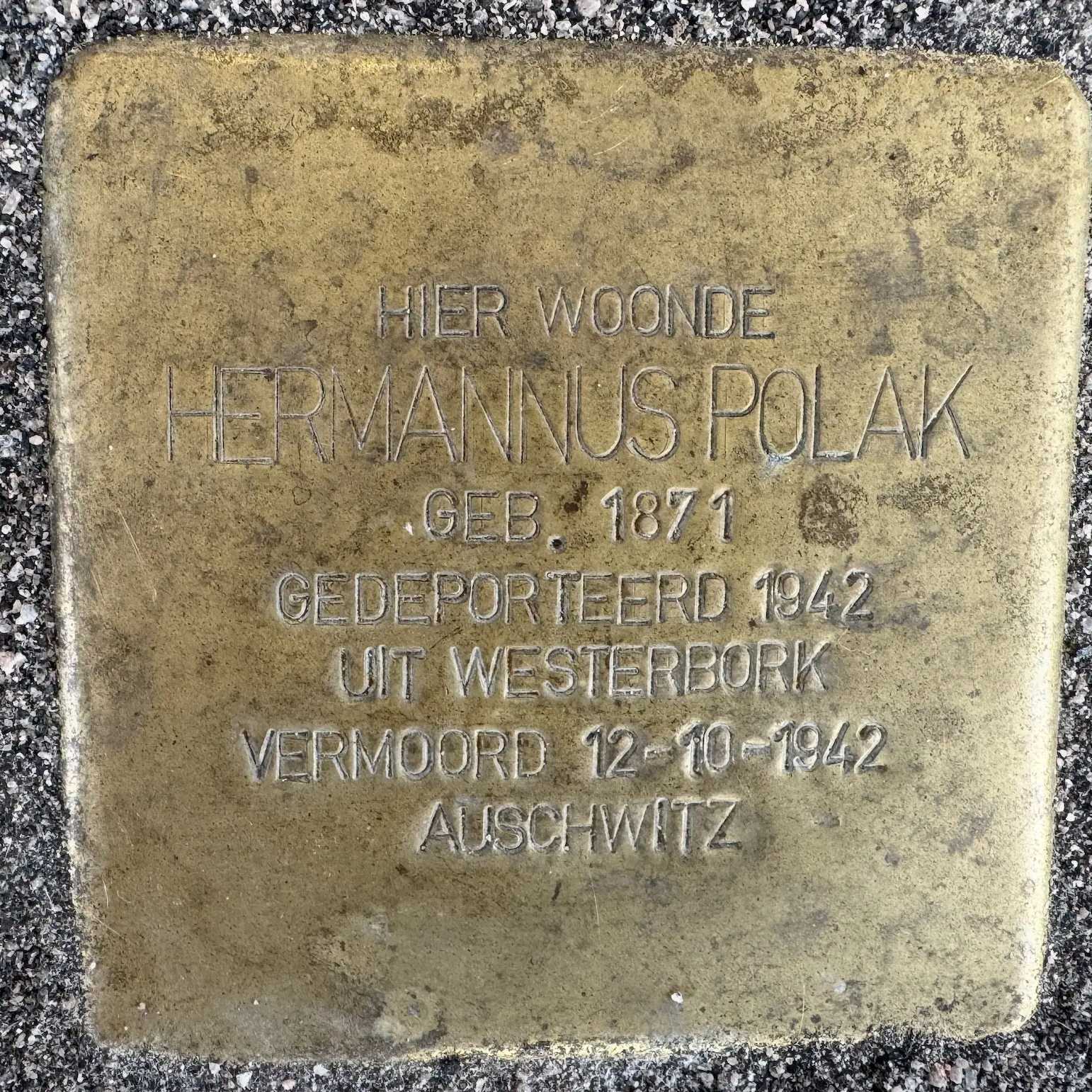 Struikelsteen voor Hermannus Polak
