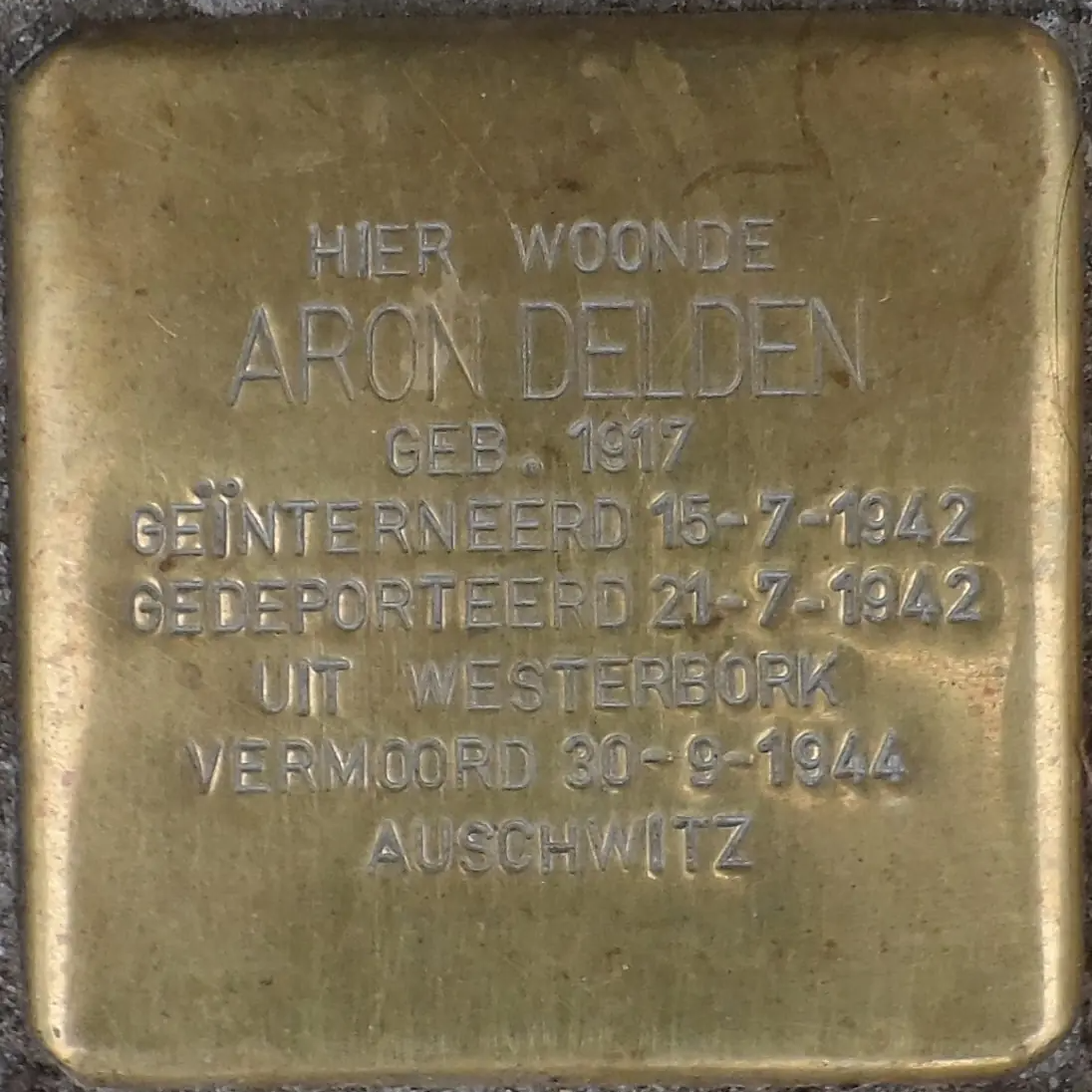 Struikelsteen voor Aron Delden