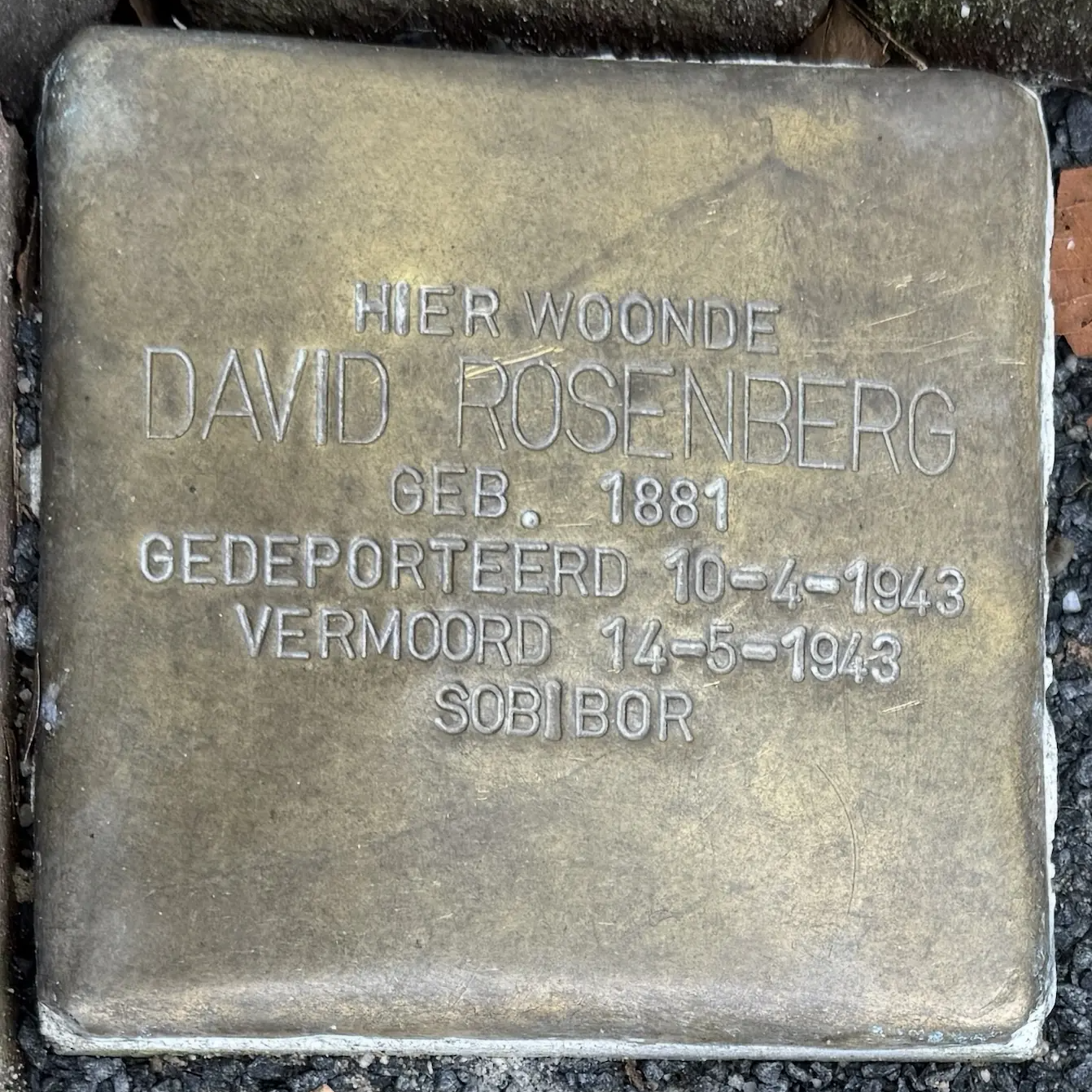 Struikelsteen voor David Rosenberg