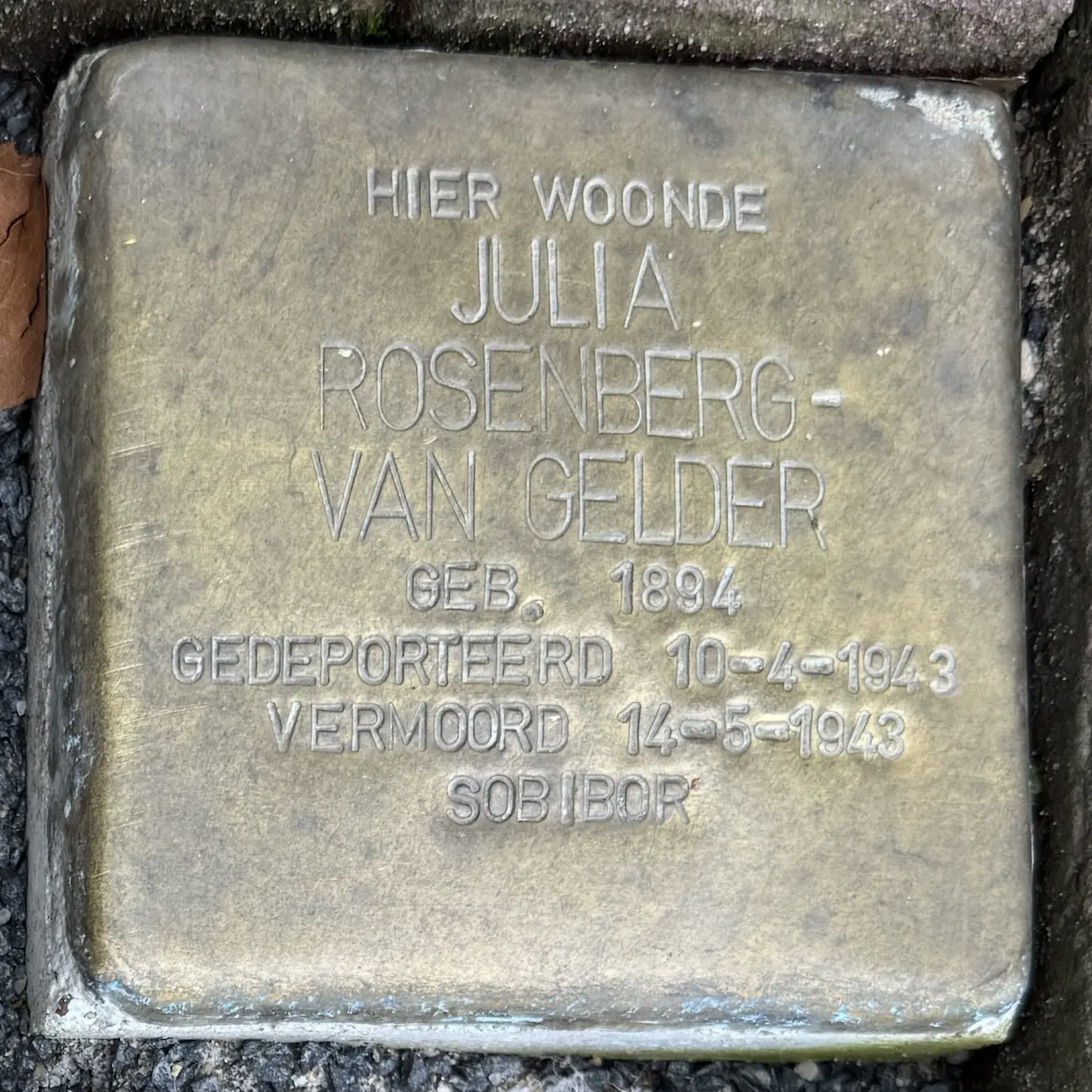 Struikelsteen voor Julia Rosenberg-van Gelder