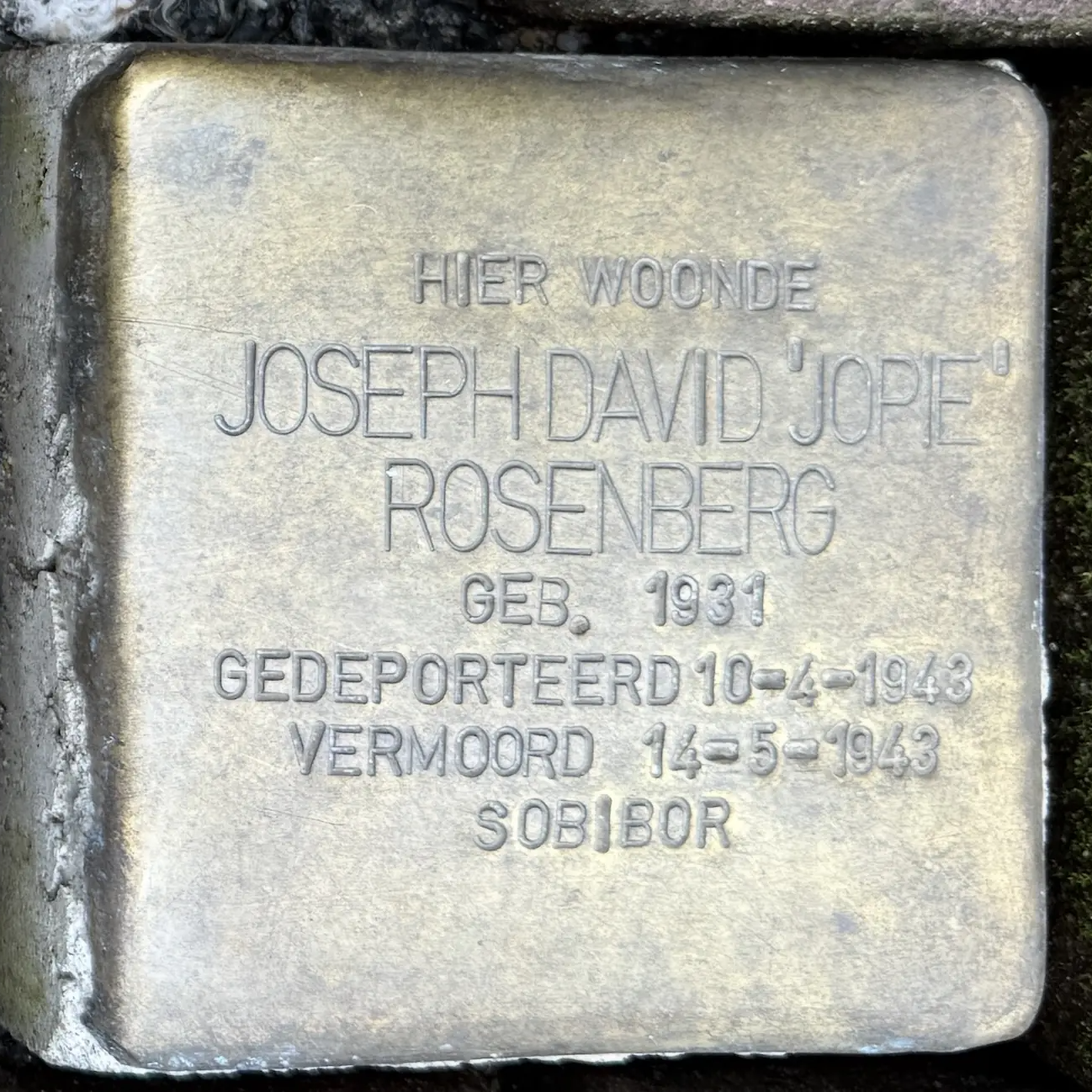 Struikelsteen voor Joseph David Rosenberg