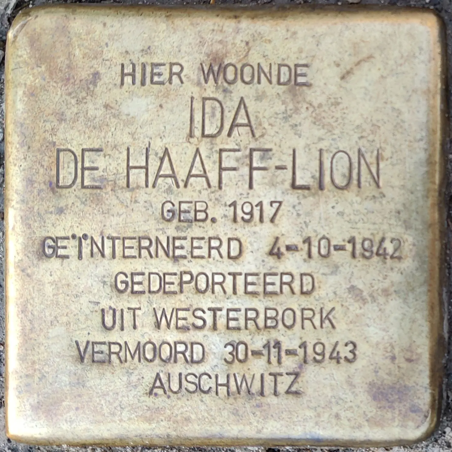 Struikelsteen voor Alida de Haaff-Lion
