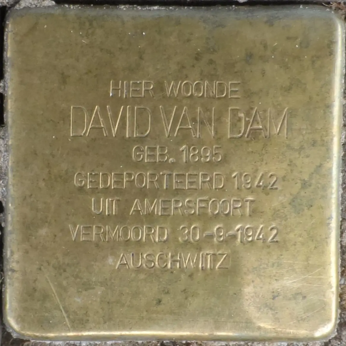 Struikelsteen voor David van Dam