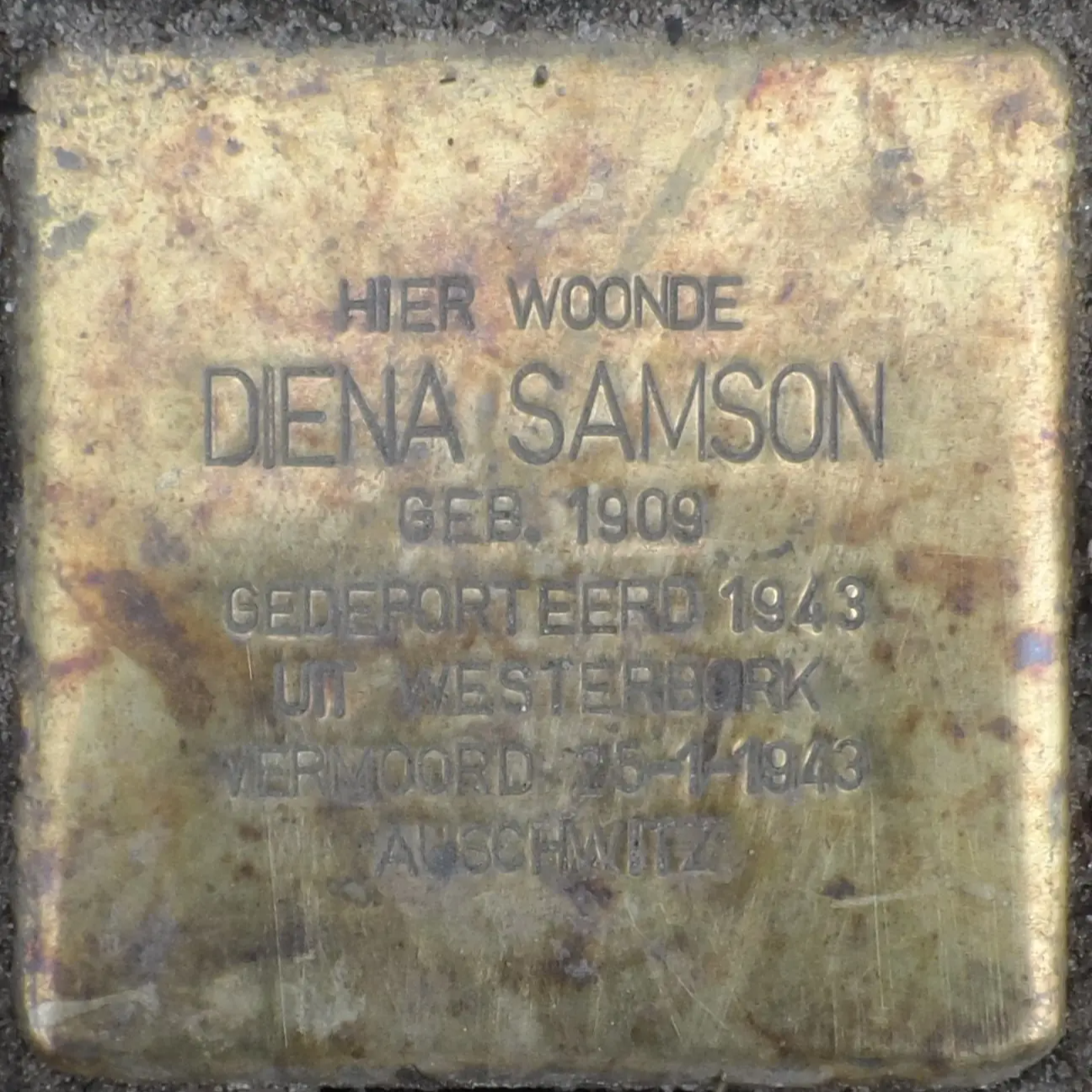 Struikelsteen voor Diena Samson