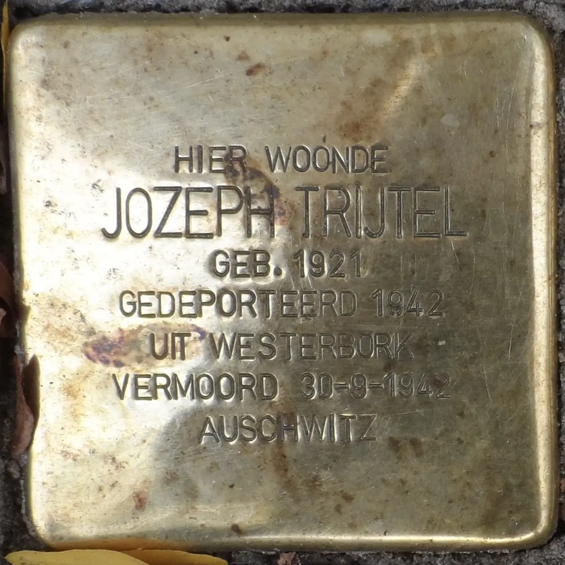 Struikelsteen voor Jozeph Trijtel