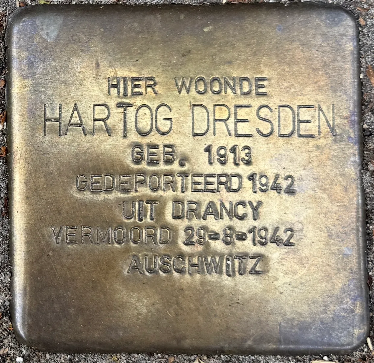 Struikelsteen voor Hartog Dresden