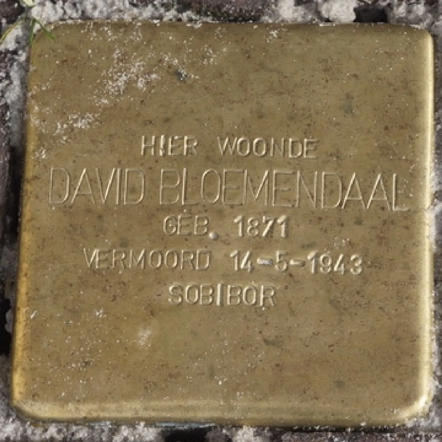 Struikelsteen voor David Bloemendaal