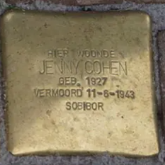 Struikelsteen voor Jenny Cohen