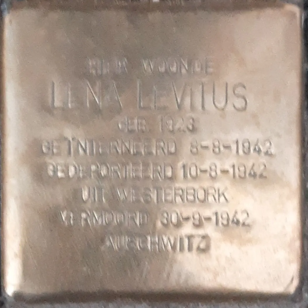 Struikelsteen voor Lena Levitus